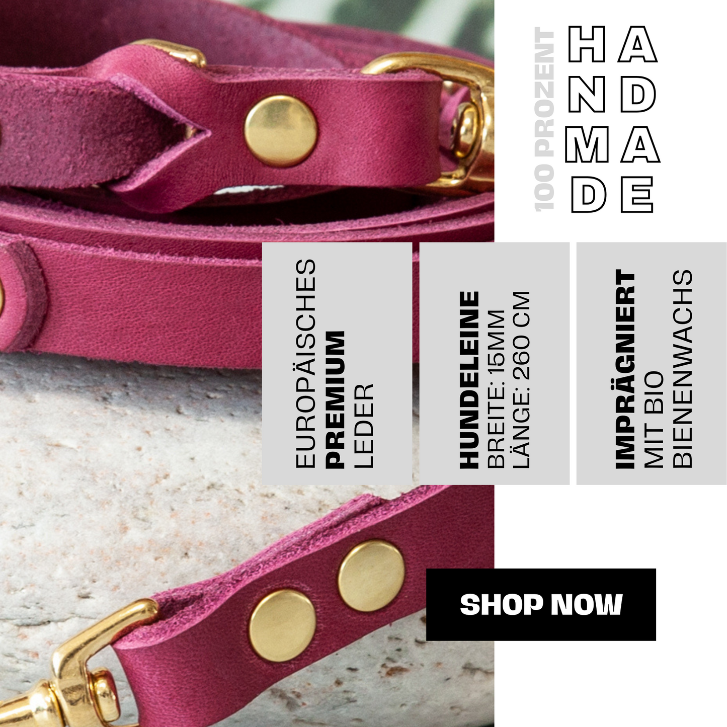 Set KIWI | Lederleine und Halsband | Beere