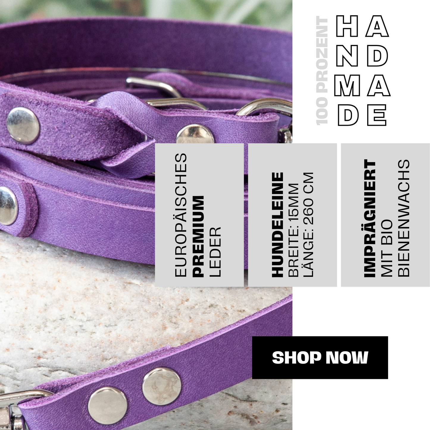 Set KIWI | Lederleine und Halsband | Lila