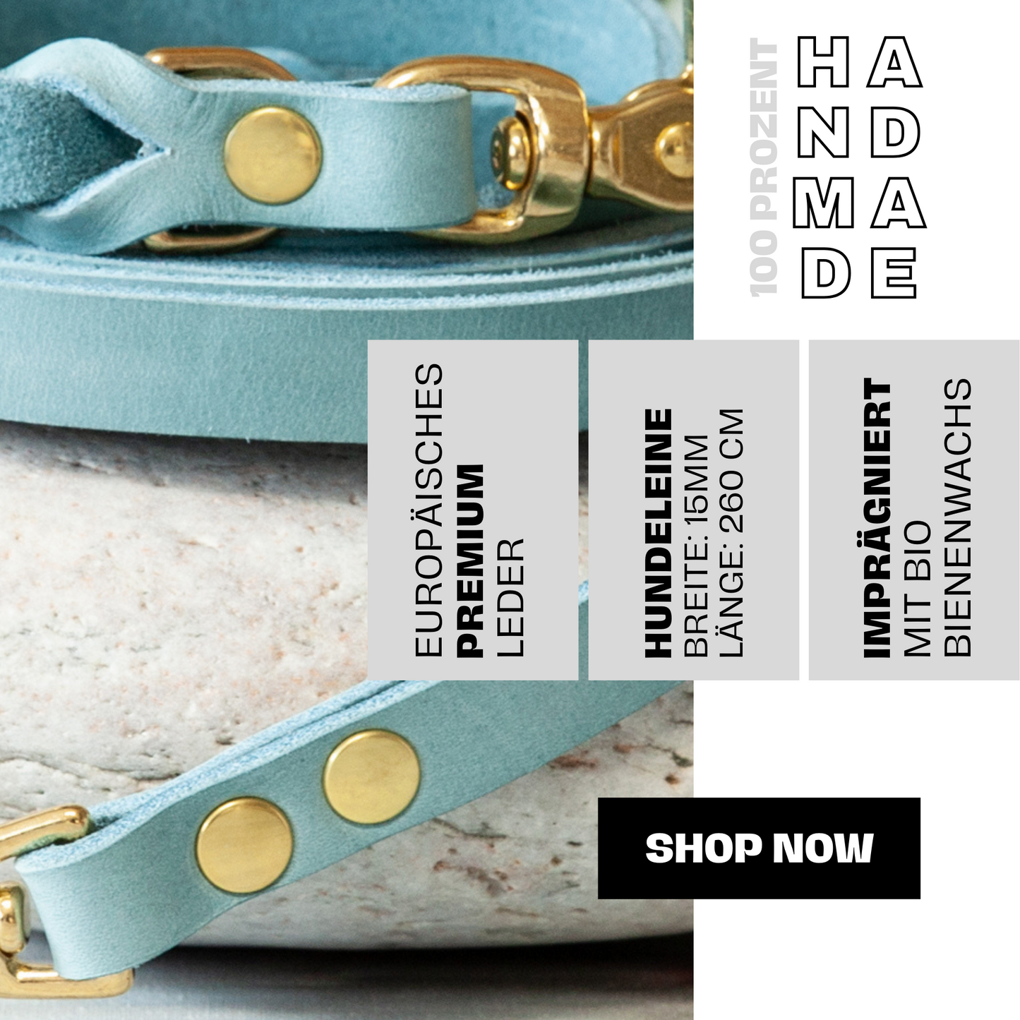 Set KIWI | Lederleine und Halsband | Eisblau