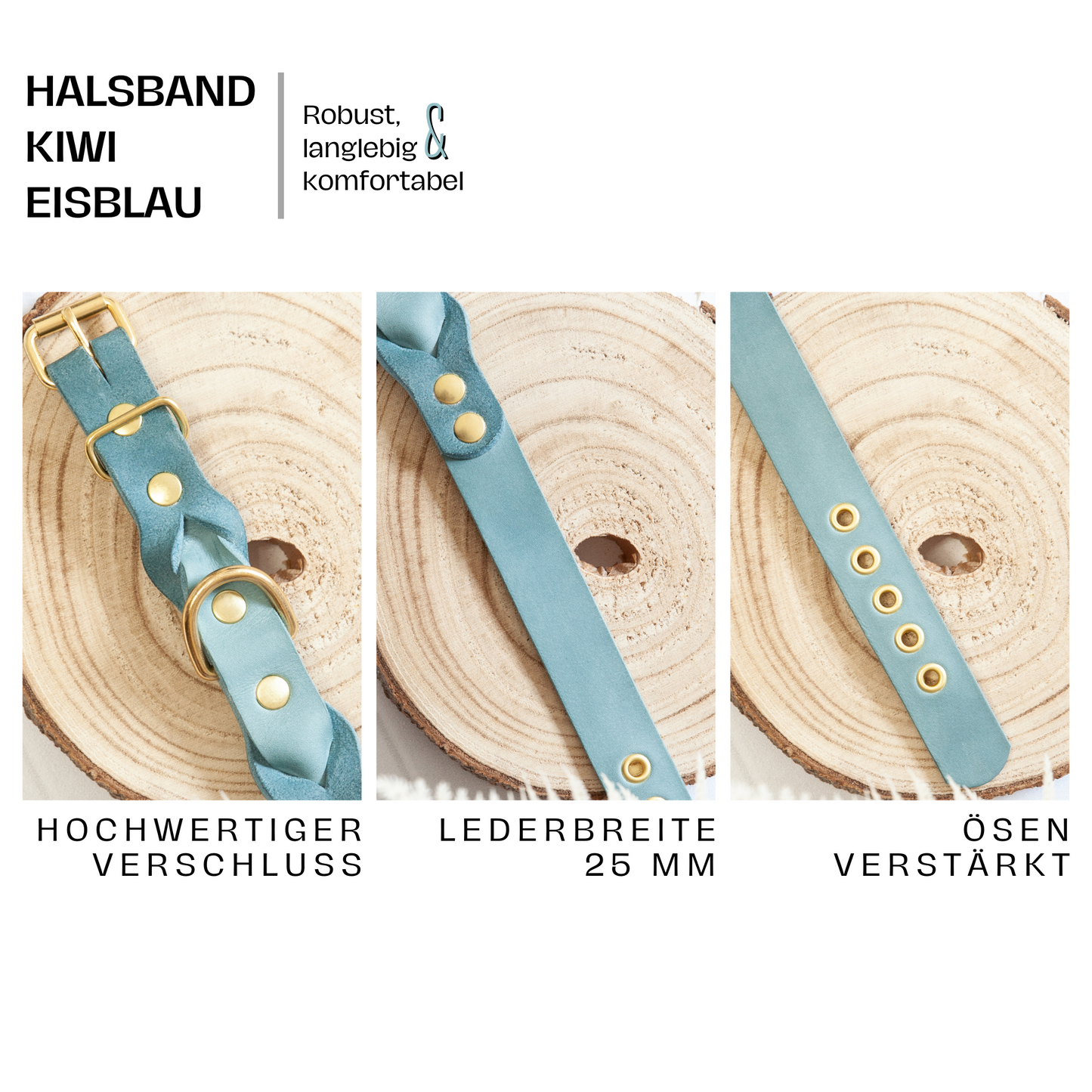 Set KIWI | Lederleine und Halsband | Eisblau