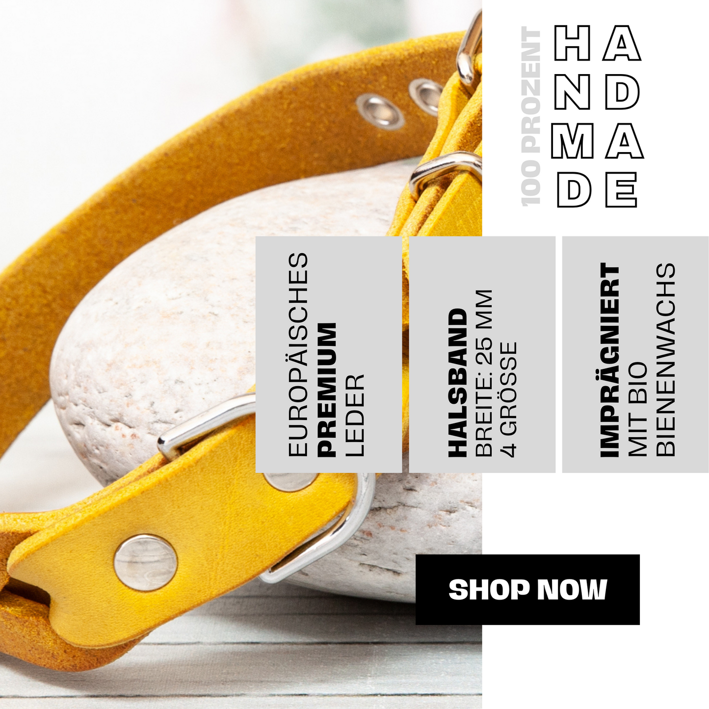 Halsband SUNNY aus Leder. Hundehalsband aus Leder in der Farbe Curry Gelb. Lederhalsband für Fellnasen. Detail 1