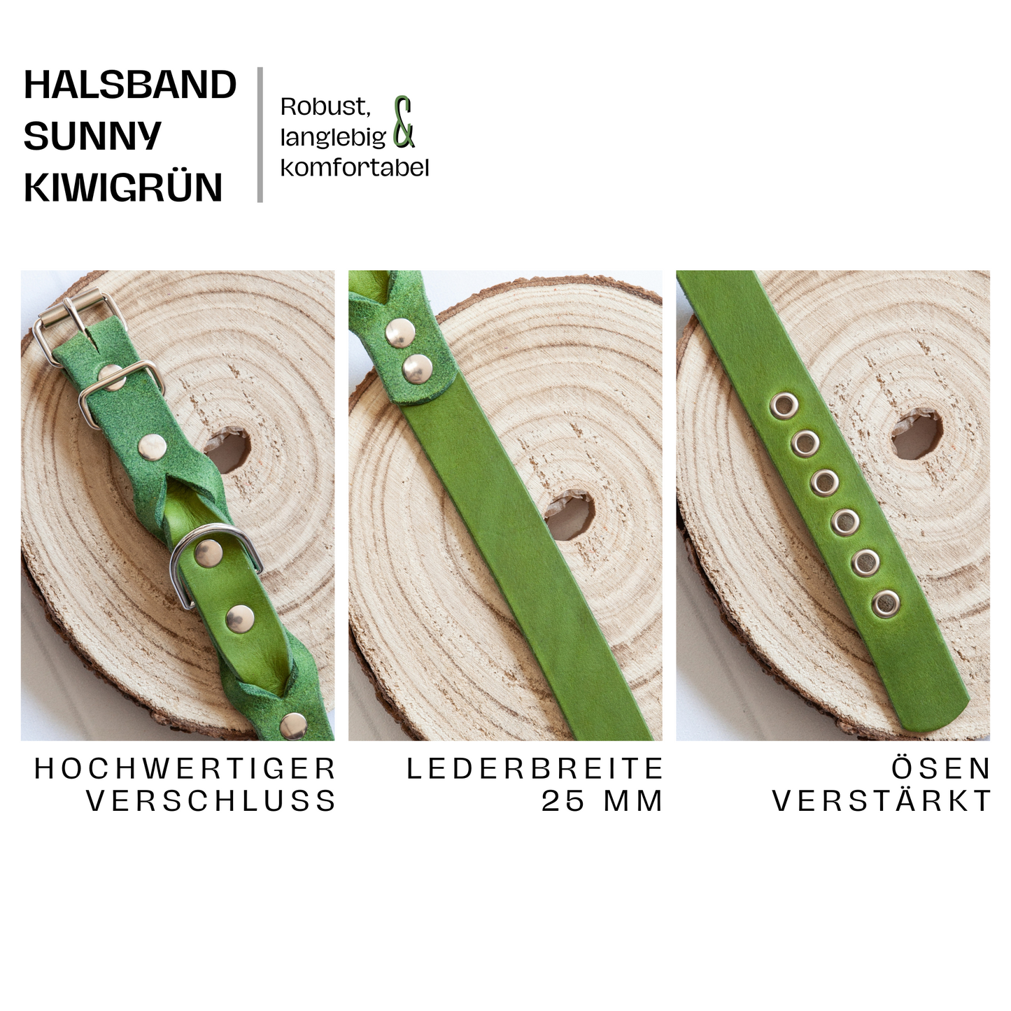 Halsband SUNNY aus Leder. Hundehalsband aus Leder in der Farbe Kiwi Grün. Lederhalsband für Fellnasen. Detail