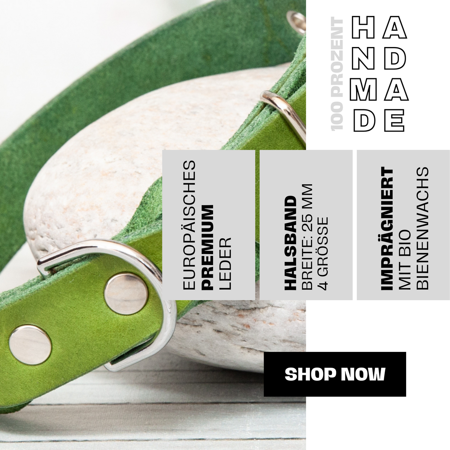 Halsband SUNNY aus Leder. Hundehalsband aus Leder in der Farbe Kiwi Grün. Lederhalsband für Fellnasen. Detail 1