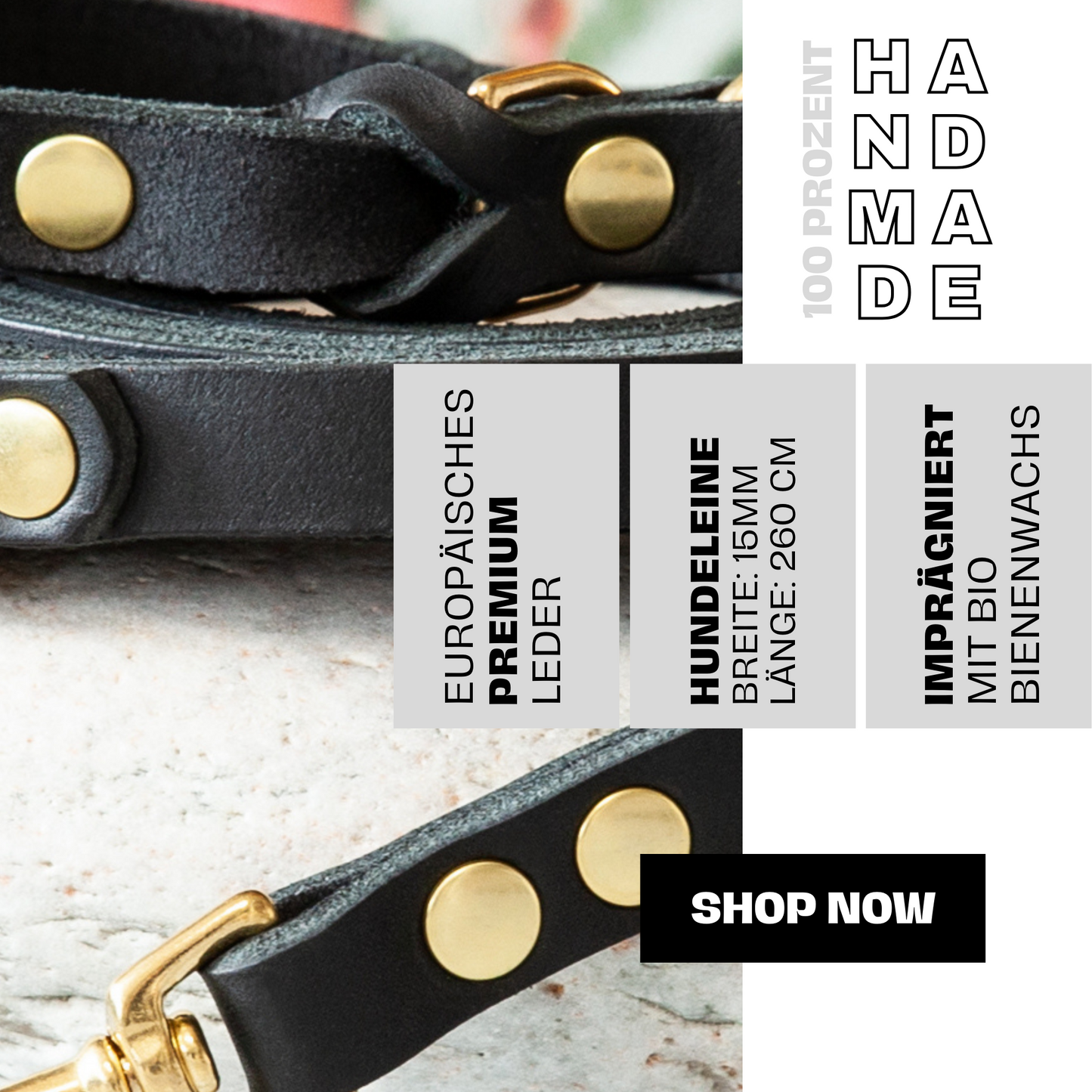 Set KIWI | Lederleine und Halsband | Schwarz