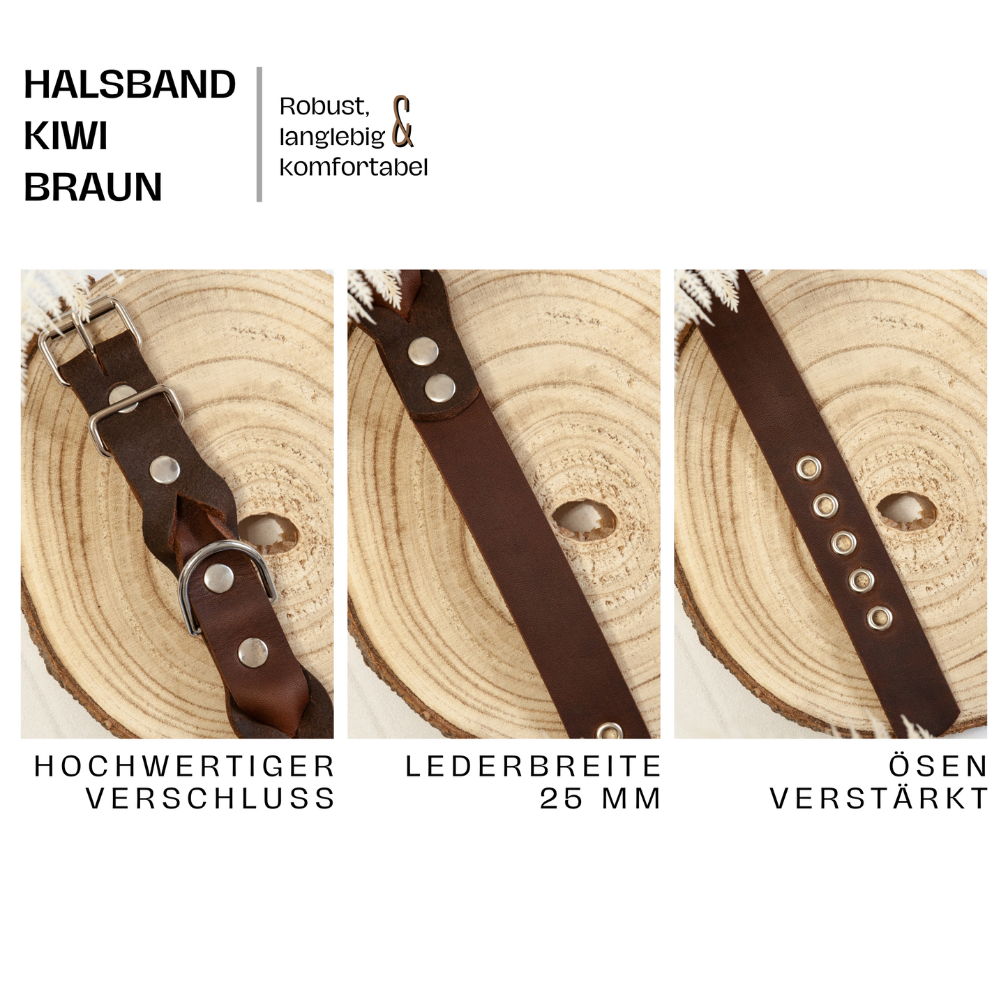 Leder-Hundehalsband KIWI in Braun – mit verstärkten Ösen, silberner Schnalle und 25 mm Breite
