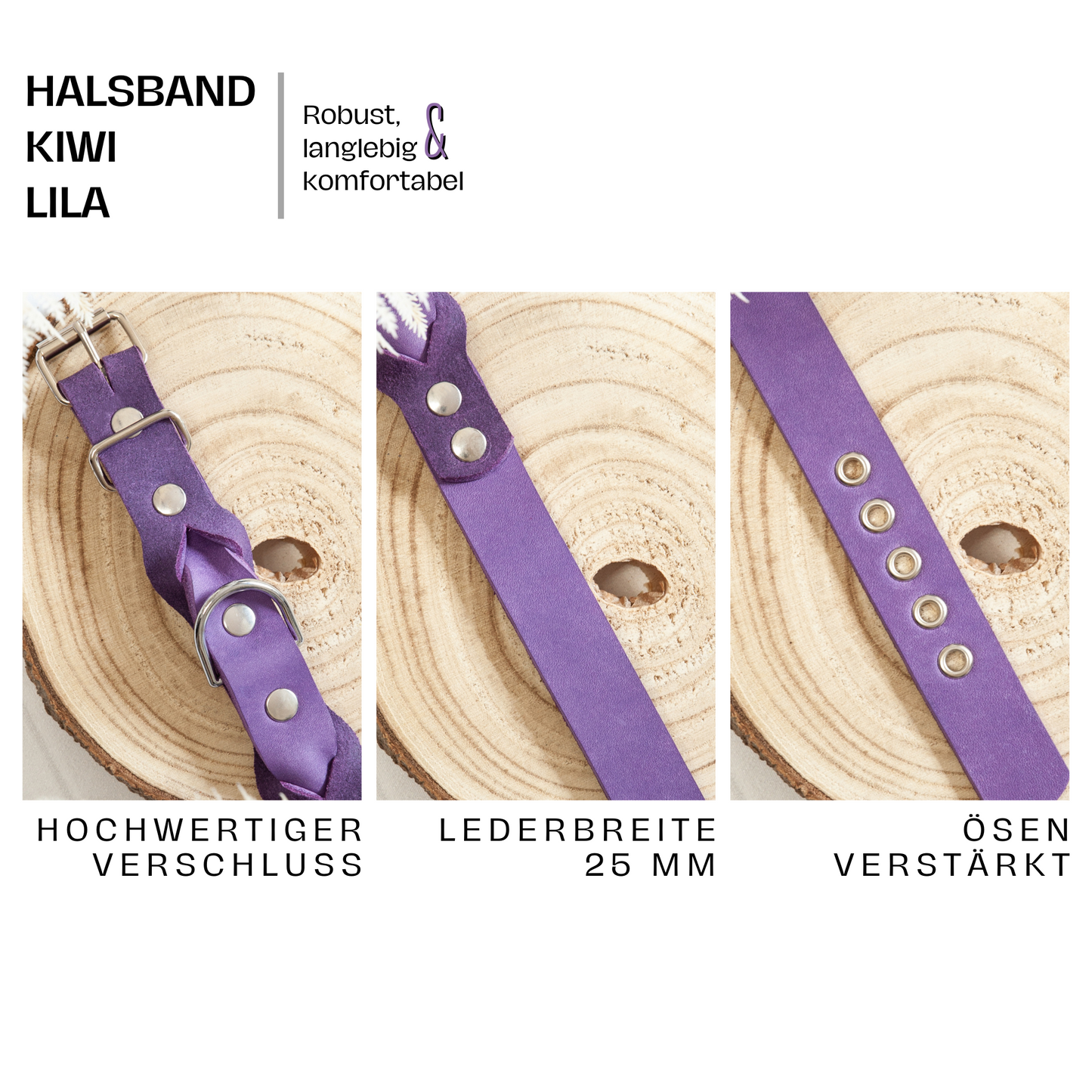 Hundehalsband KIWI in Lila mit verstärkten Ösen, 25 mm Lederbreite und silberner Metallschnalle