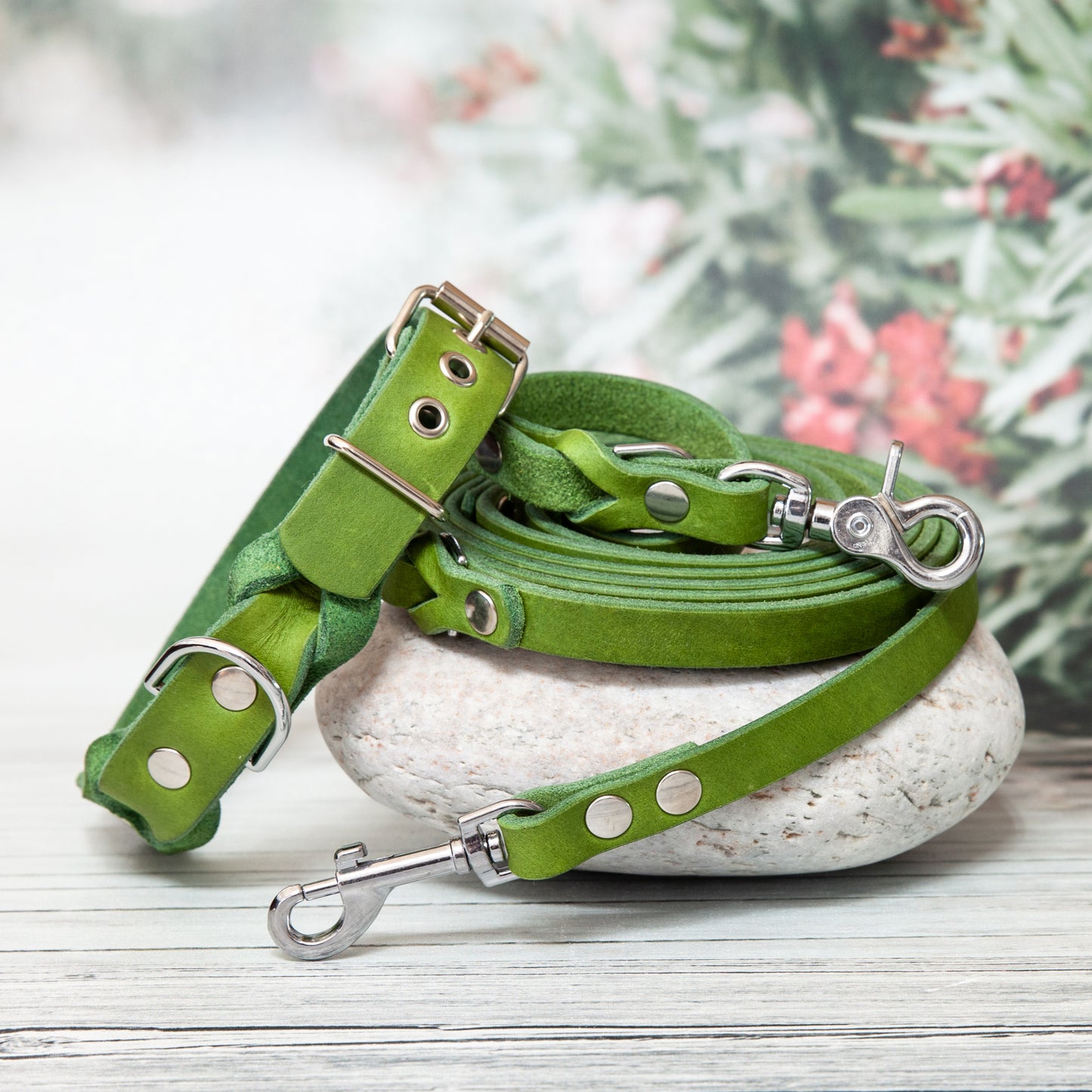 Set SUNNY in frischem Kiwigrün mit silberfarbenen Beschlägen: Dieses harmonisch abgestimmte Set aus Halsband und Leine ist ein Hingucker und schenkt deinem Hund ein fruchtig-frisches Accessoire für Spaziergänge mit Stil.