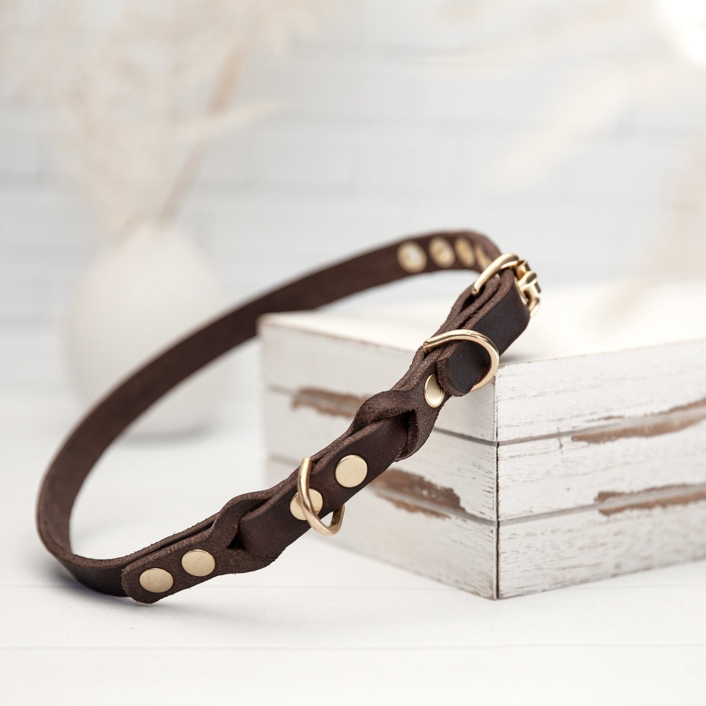 Set JIMINY für große Hunde | Lederleine und Halsband | Braun