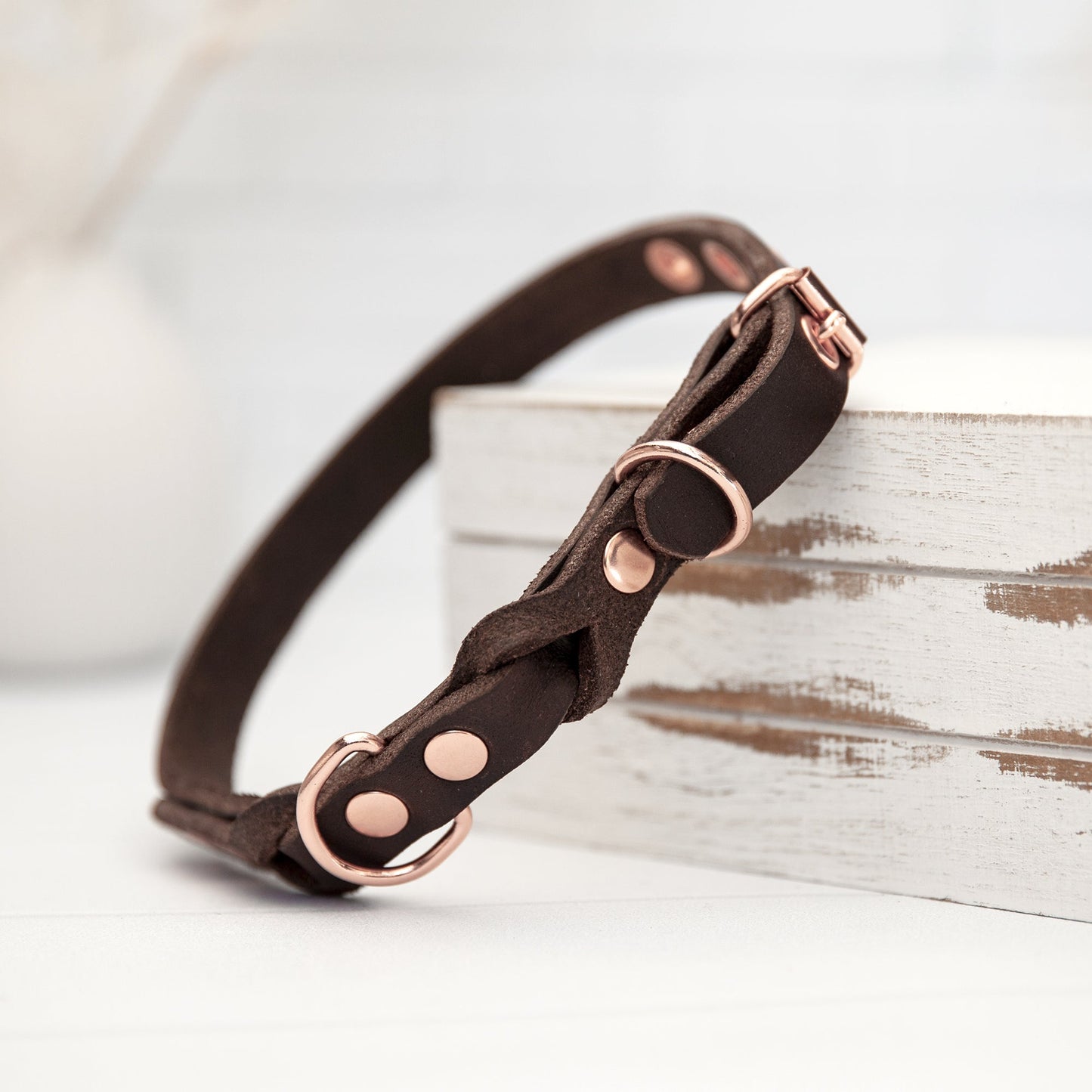 Set JIMINY für große Hunde | Lederleine und Halsband | Braun