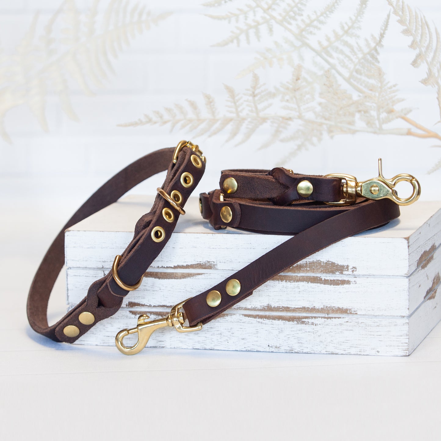 Set JIMINY für große Hunde | Lederleine und Halsband | Braun