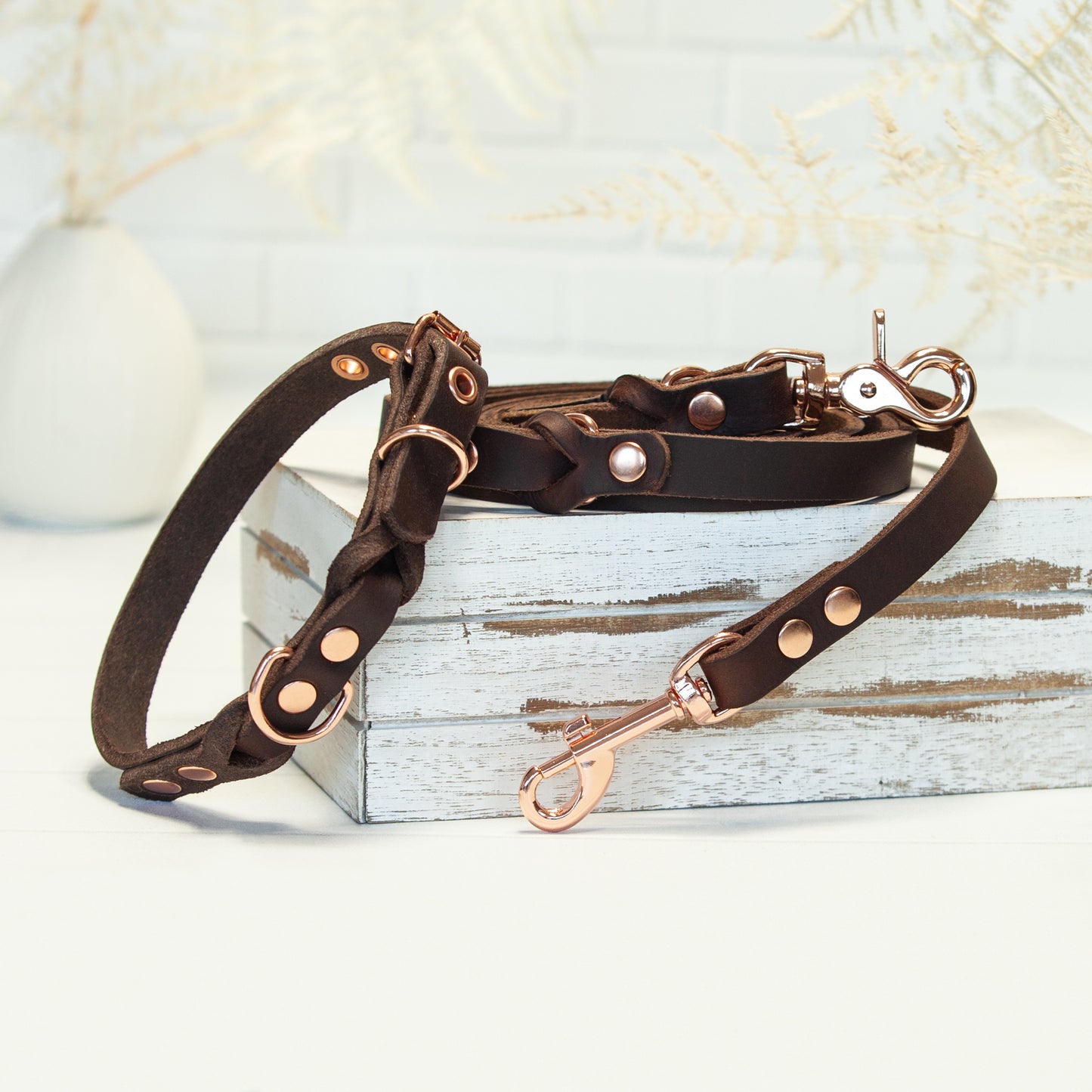 Set JIMINY für große Hunde | Lederleine und Halsband | Braun