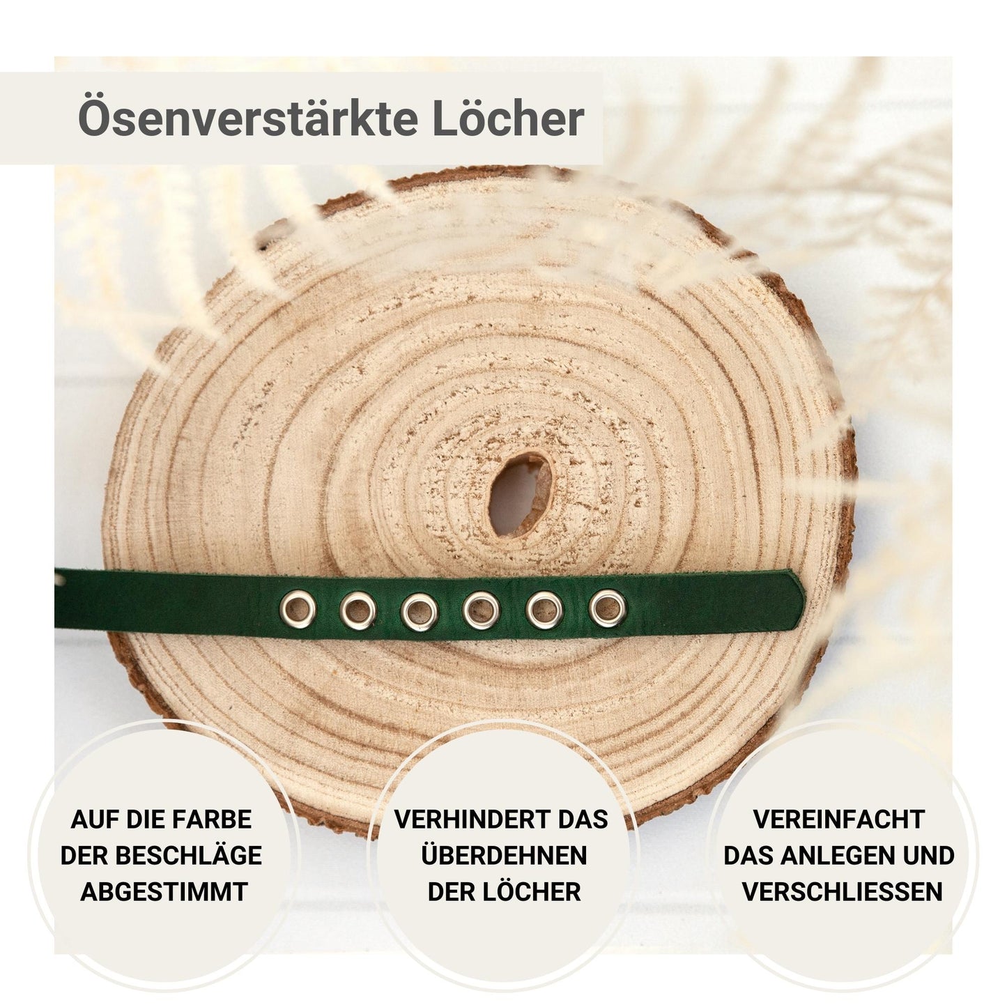 Halsband JIMINY | Goldene oder Silberne Namensprägung | 4 Größen | Grün