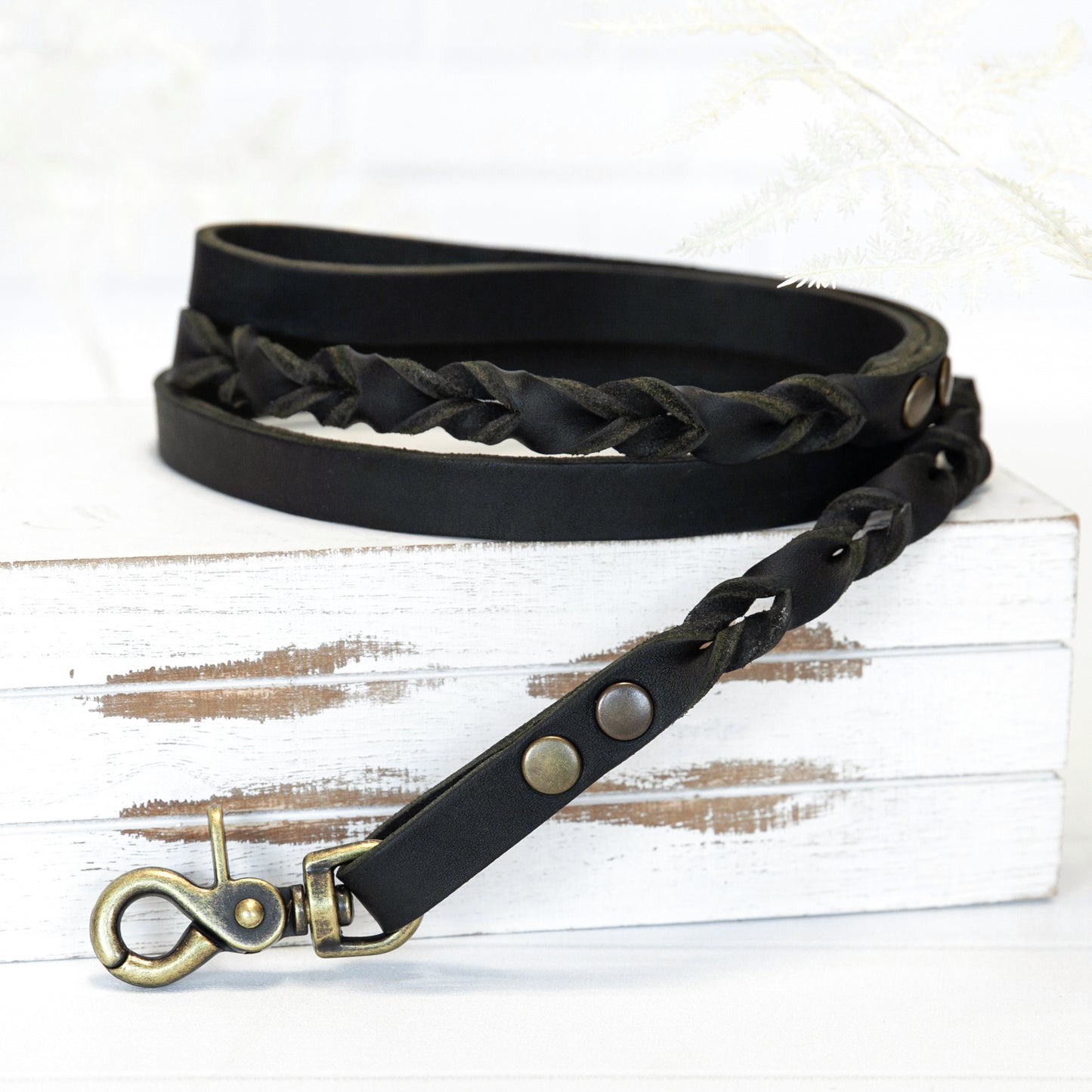 Schwarze Echtleder Leine "IHSY" Hunde Geflochten | 120 cm | Geschenkidee Hundebesitzer | Antikmessing