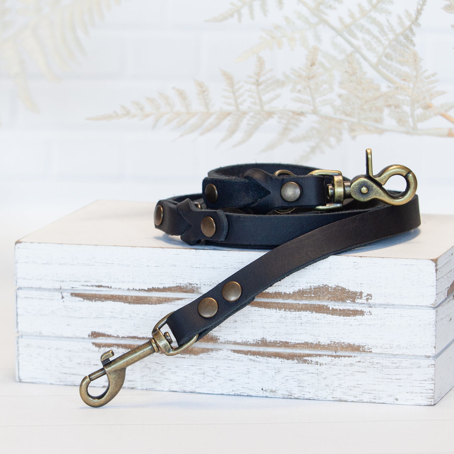 Set JIMINY für kleine Hunde | Lederleine und Halsband | Schwarz