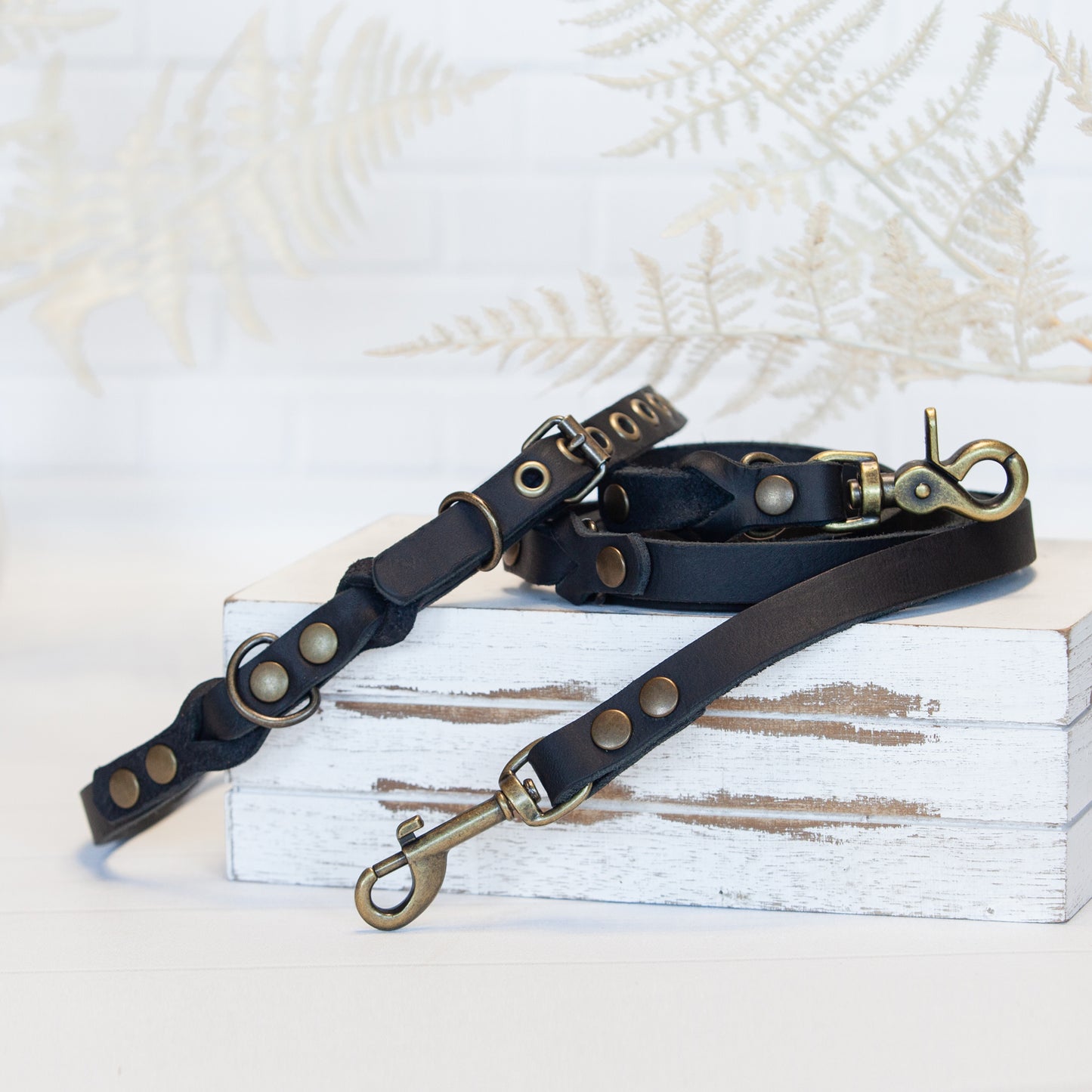 Set JIMINY für kleine Hunde | Lederleine und Halsband | Schwarz