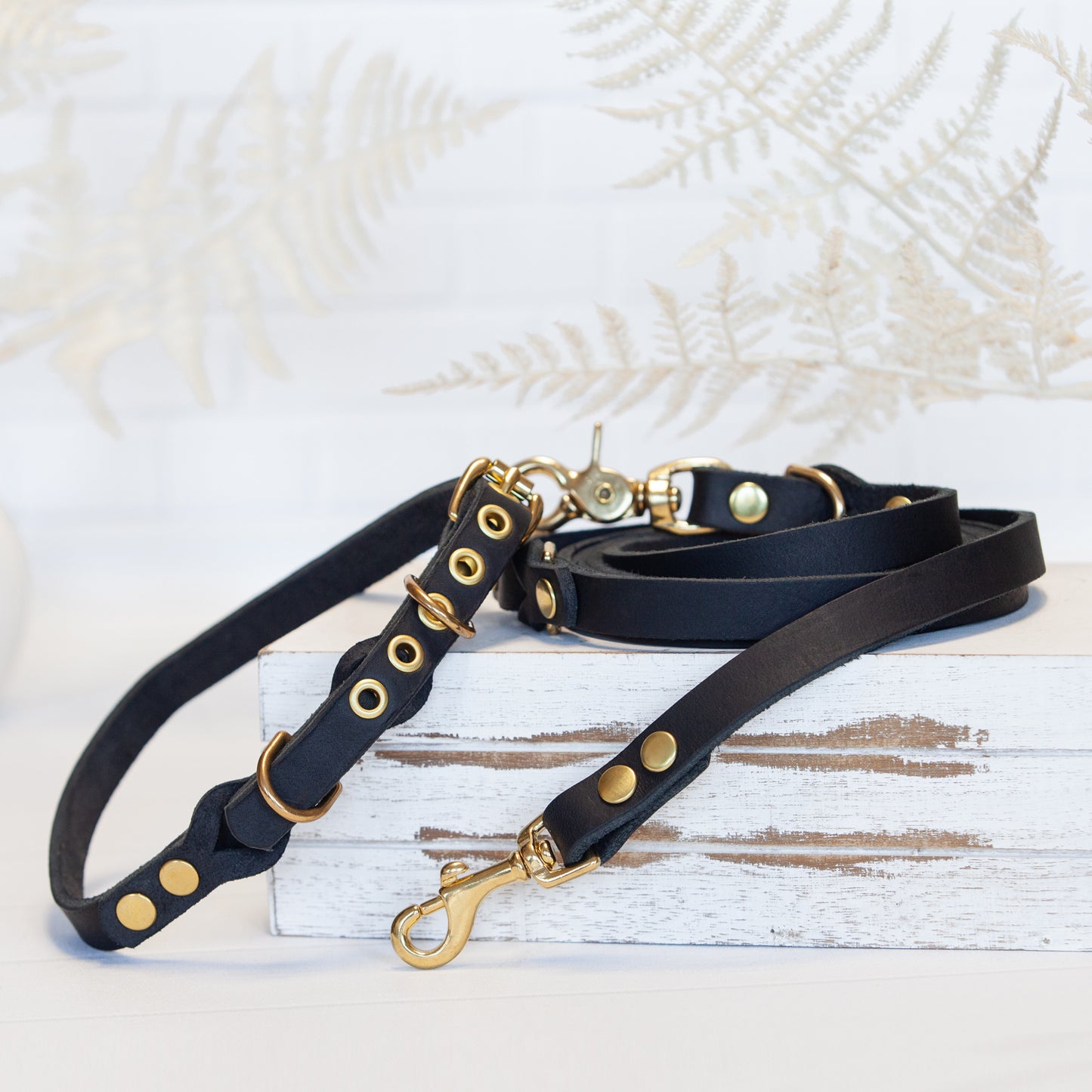 Set JIMINY für kleine Hunde | Lederleine und Halsband | Schwarz