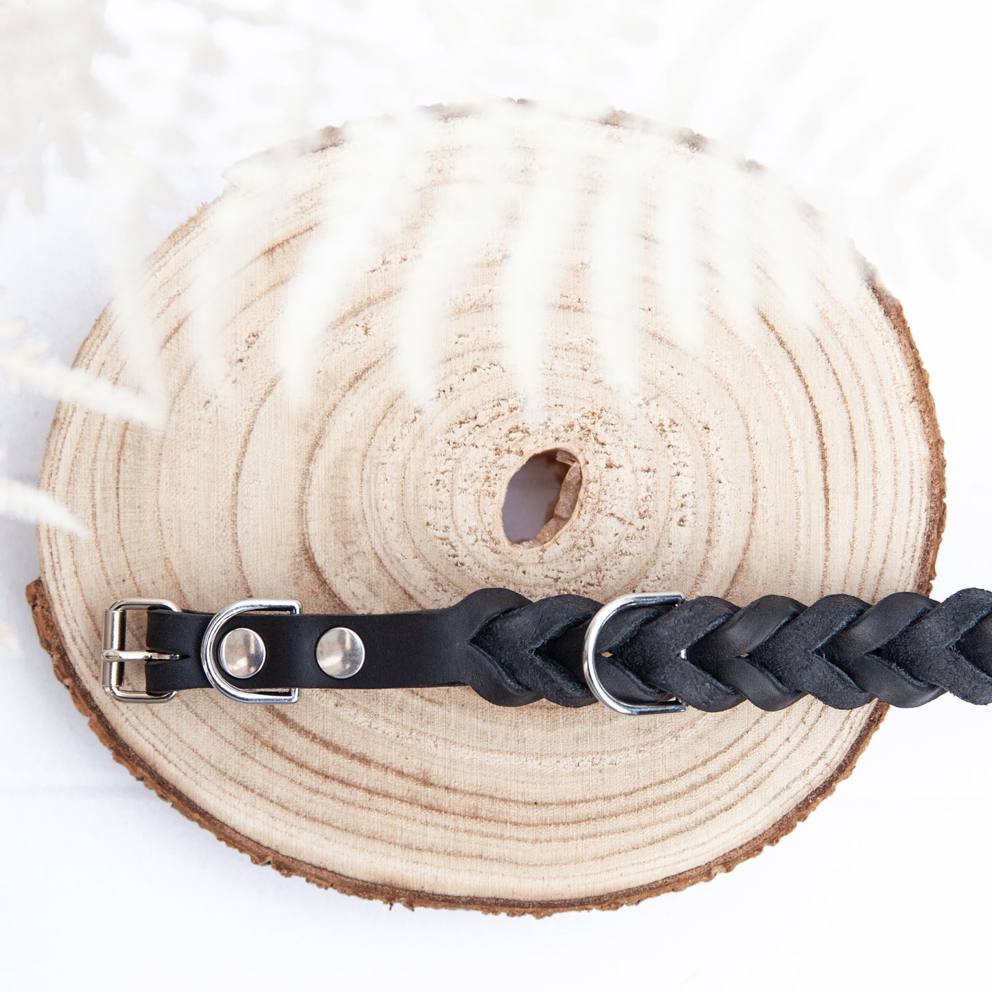 Alt-Text: Stilvolles Set aus Halsband und Leine in schwarzem Leder mit glänzenden silbernen Karabinern.
