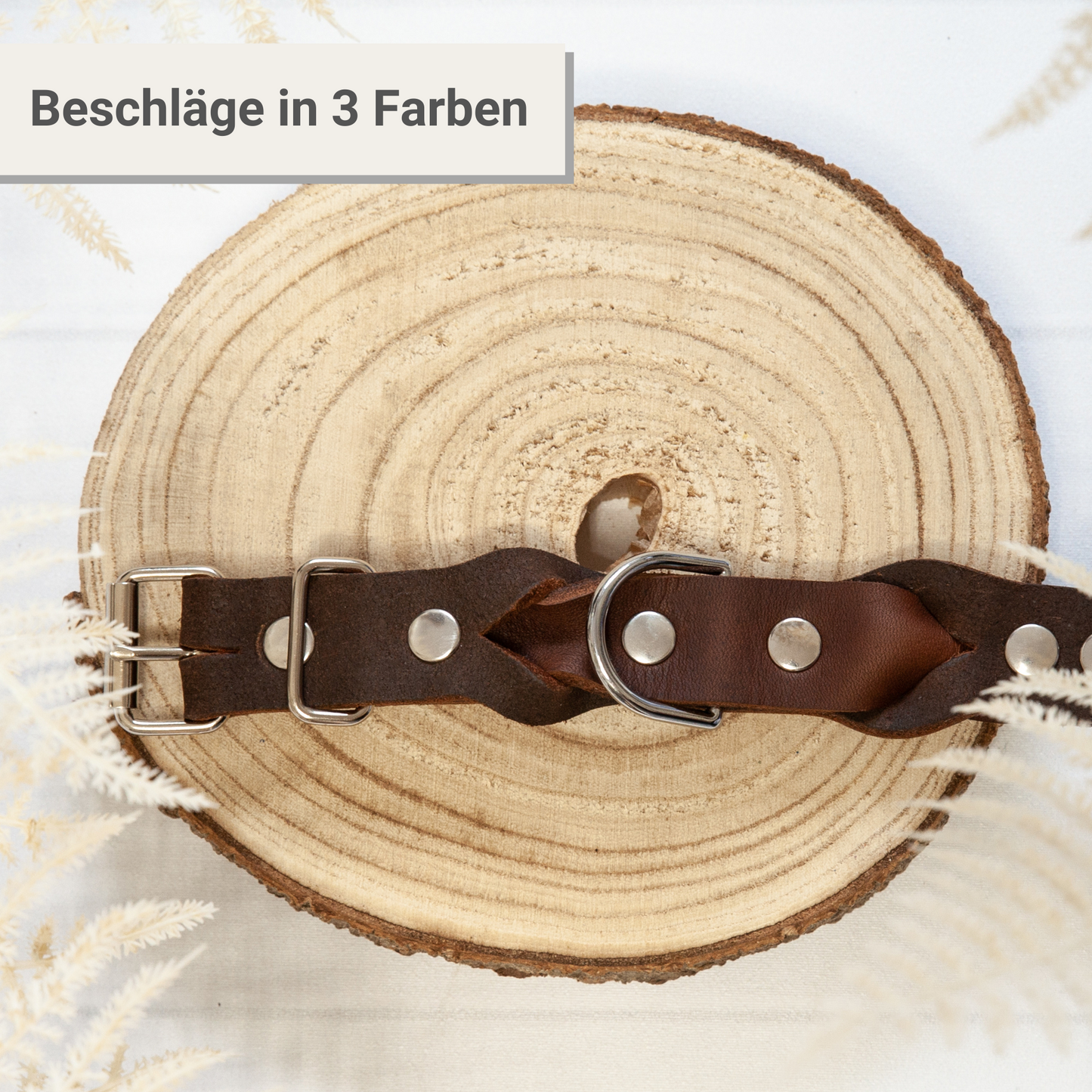 Hundehalsband KIWI in Braun – handgearbeitetes Lederhalsband mit Metallbeschlägen, stilvoll auf Holz präsentiert