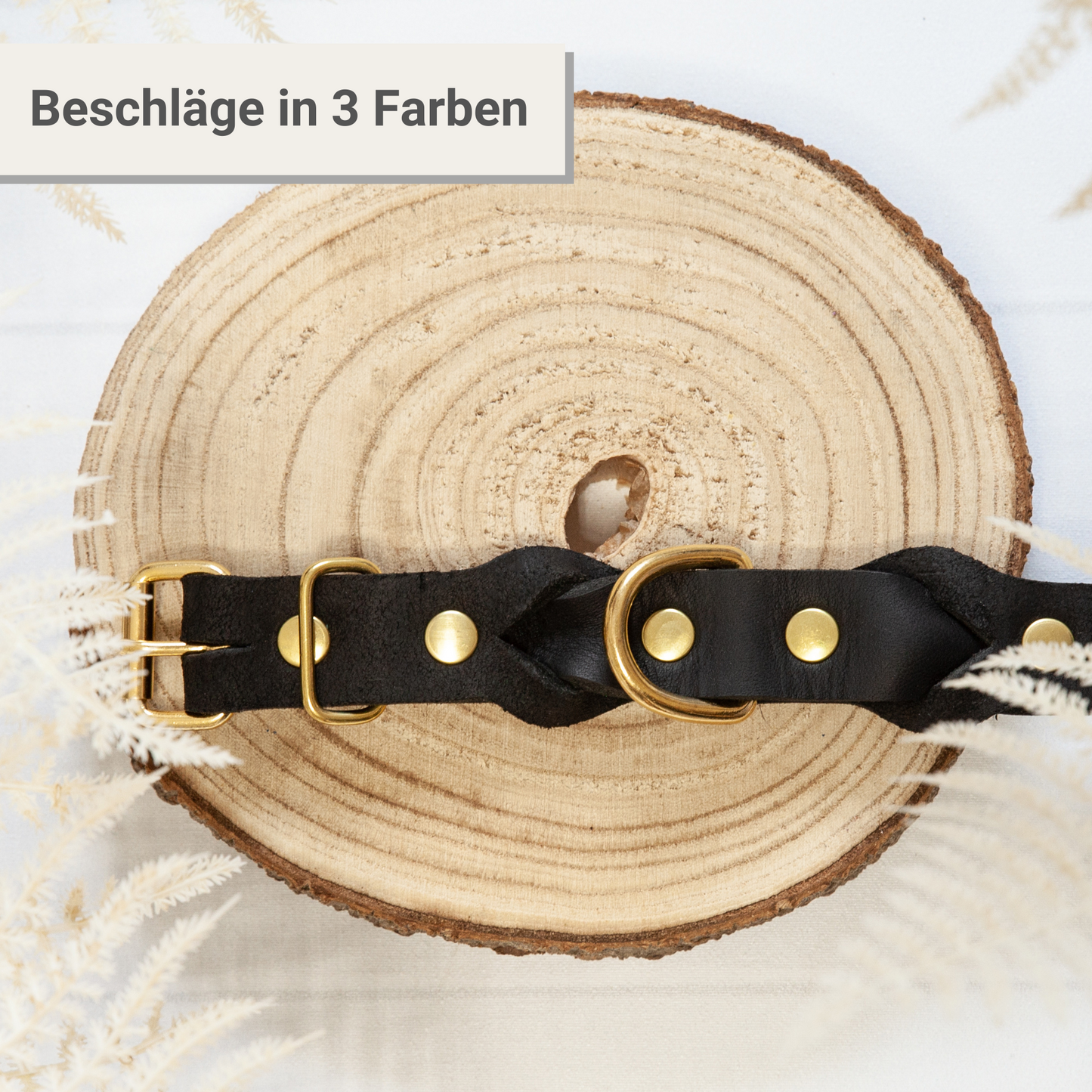 Lederhalsband KIWI in Schwarz – handgefertigtes Halsband aus robustem Leder mit dekorativen Beschlägen auf Holzscheibe