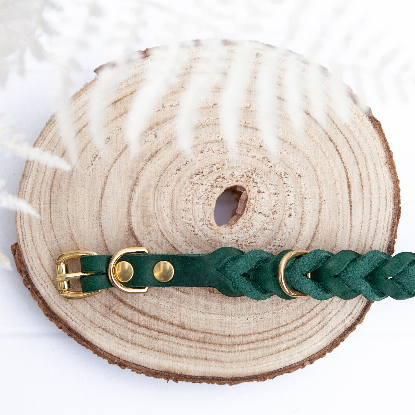 Das ELLA-Halsband im satten Grün ergänzt die geflochtene Leine zu einem harmonischen Set.