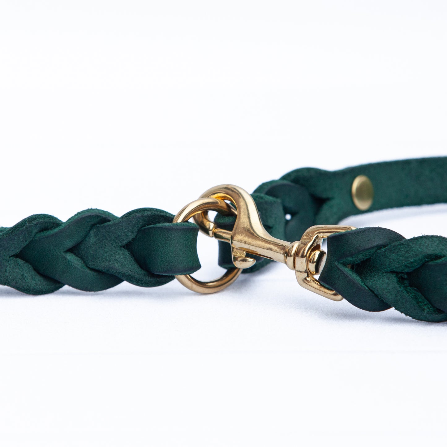 Premium-Leder für Premium-Hunde – ELLA in intensivem Grün setzt stilvolle Akzente.