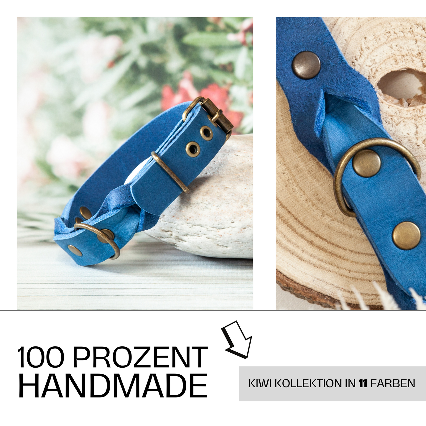 Halsband KIWI. Lederhalsband. Hundehalsband Azurblau. 11 Farben