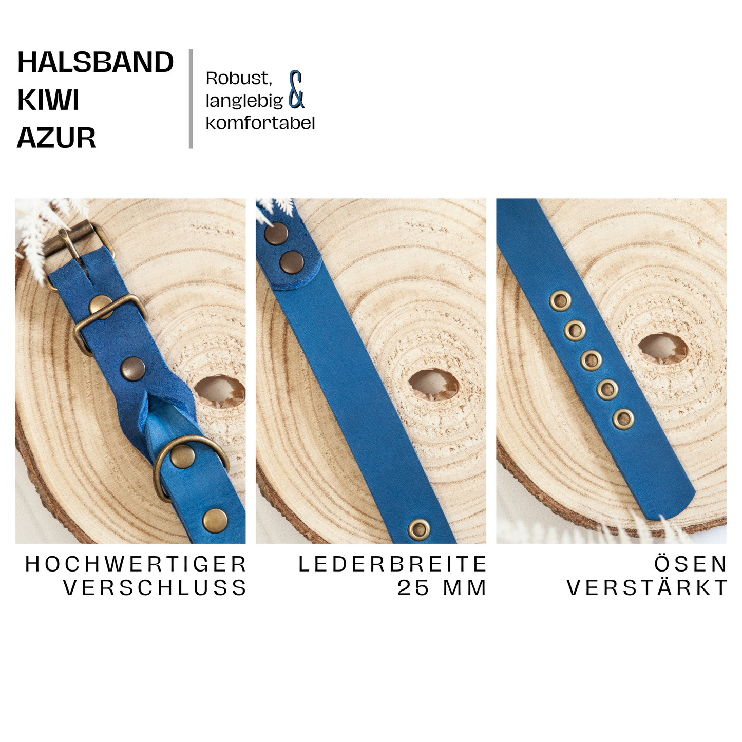 Set KIWI | Lederleine und Halsband | Azurblau