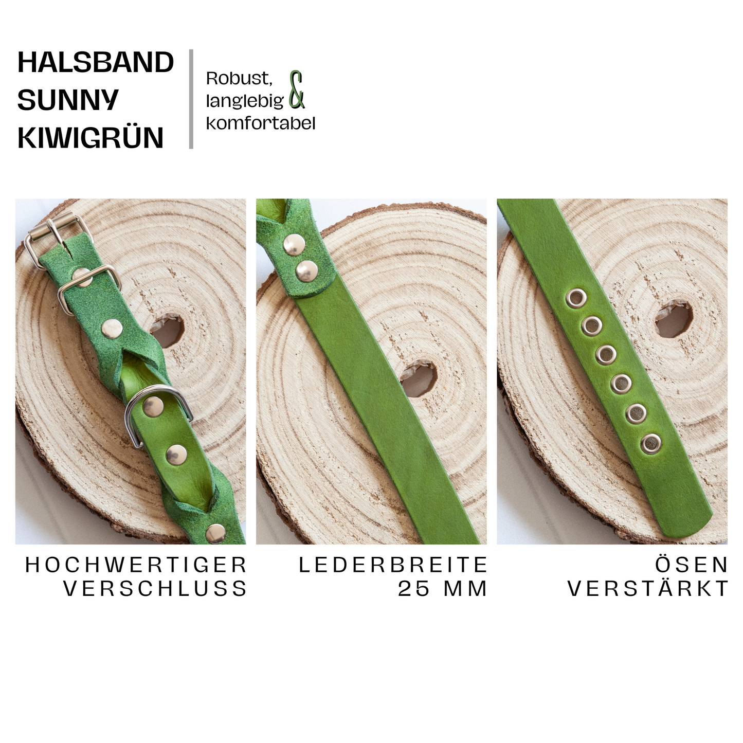 Halsband SUNNY aus Leder. Hundehalsband aus Leder in der Farbe Kiwi Grün.  Lederhalsband für Fellnasen. Detail