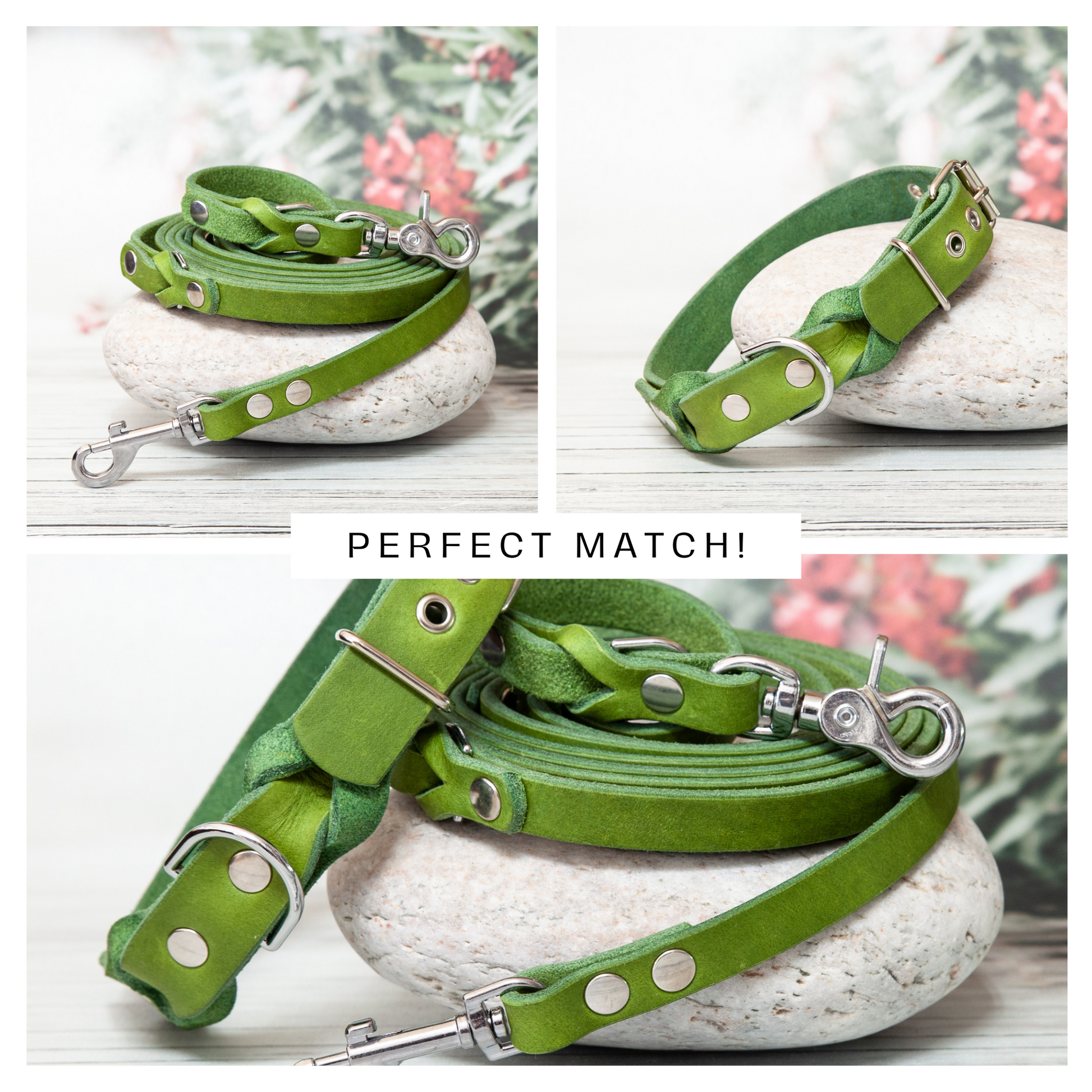 Halsband SUNNY aus Leder. Hundehalsband aus Leder in der Farbe Kiwi Grün.  Lederhalsband für Fellnasen. Detail 4