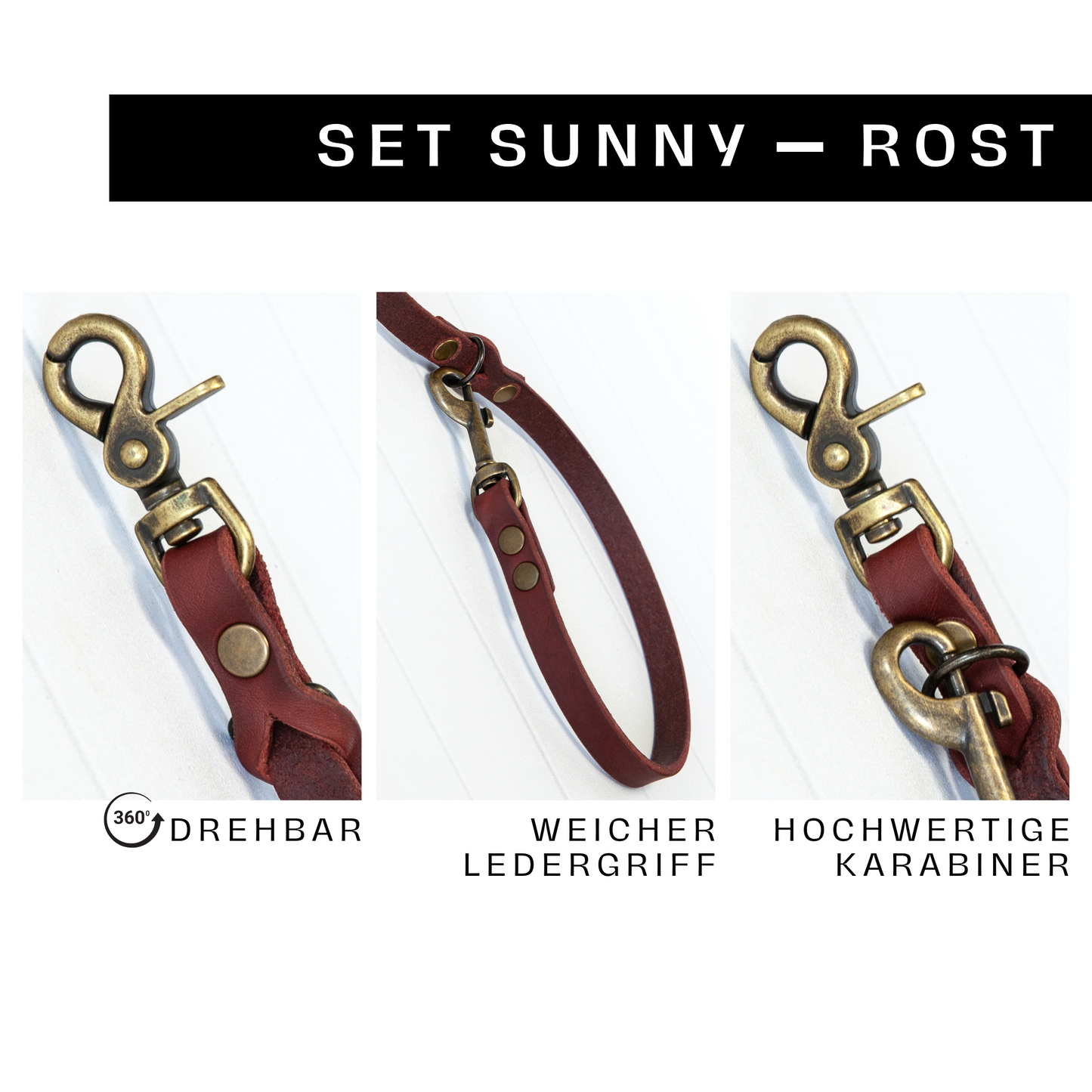 Set SUNNY | Lederleine und Halsband | Rostrot