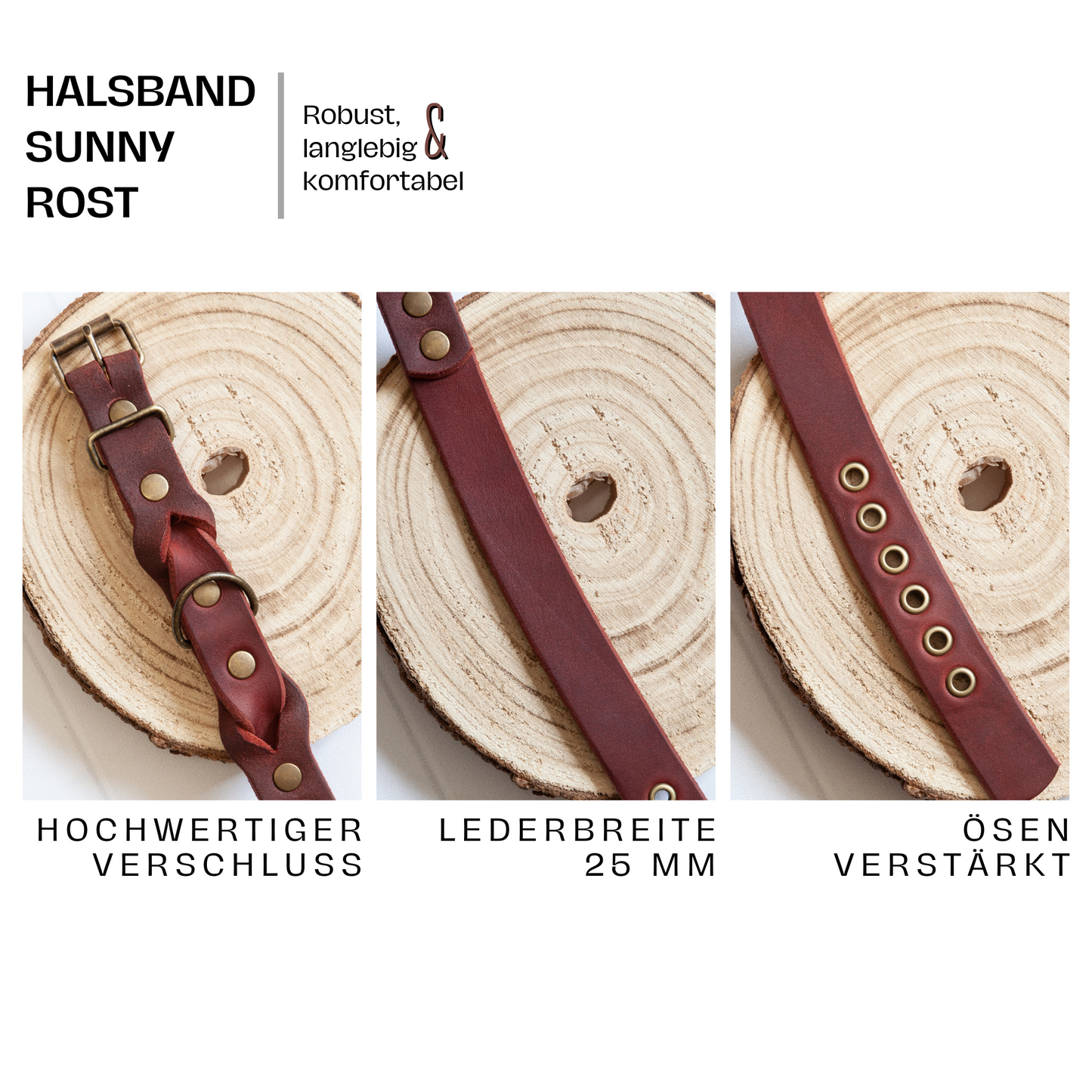 Set SUNNY | Lederleine und Halsband | Rostrot