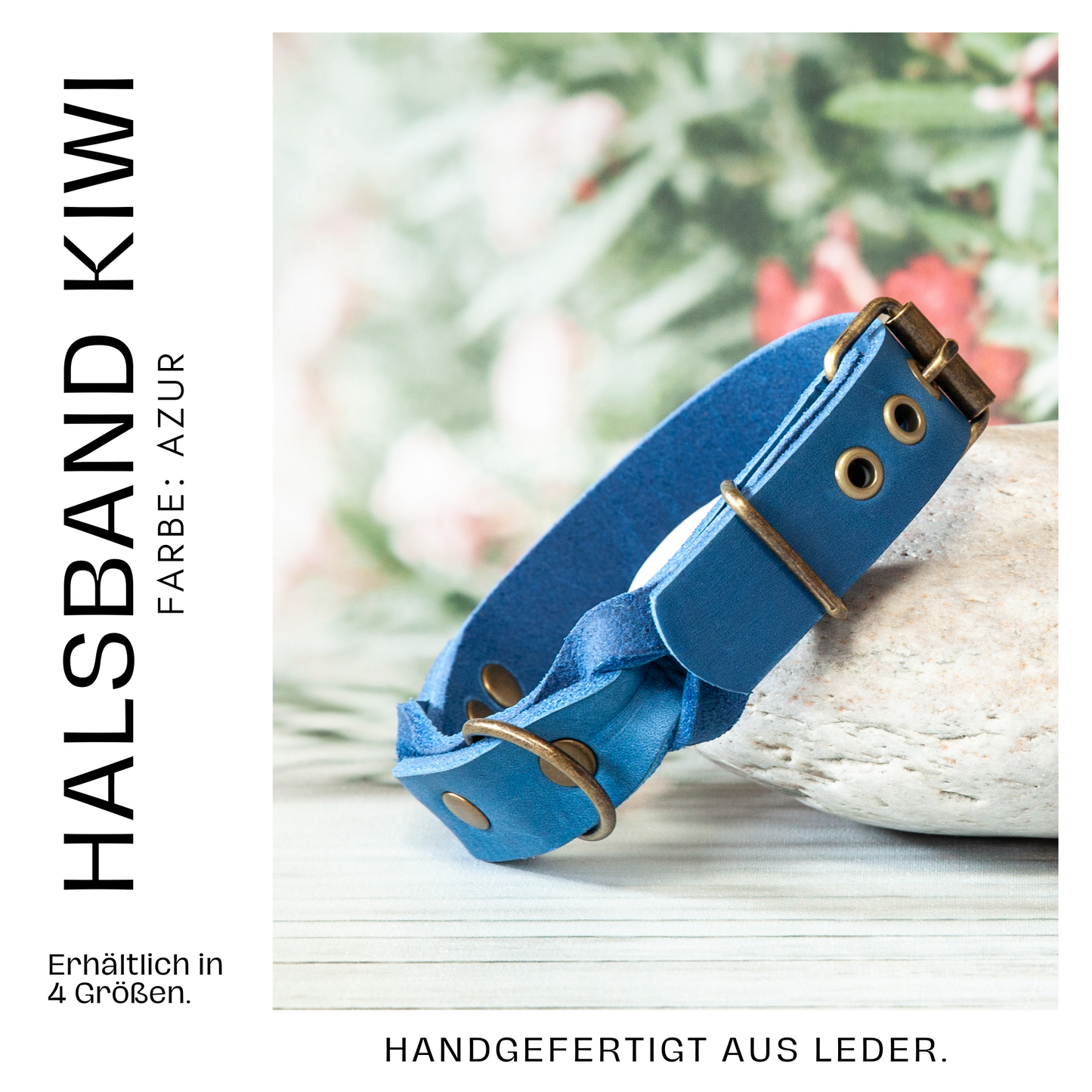 Halsband KIWI. Lederhalsband. Hundehalsband Azurblau. Details
