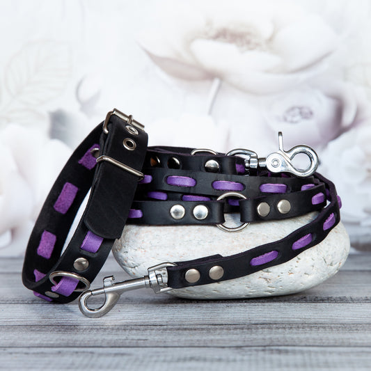 Set LILY handgefertigt aus Leder. Lederhalsband und Lederleine in der Farbe Lila und Schwarz. Hundehalsband und Leine. 