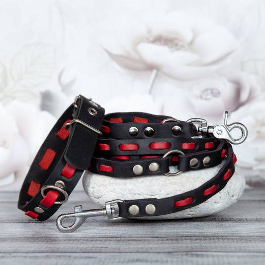 Set LILY handgefertigt aus Leder. Lederhalsband und Lederleine in der Farbe Rot und Schwarz. Hundehalsband und Leine. 