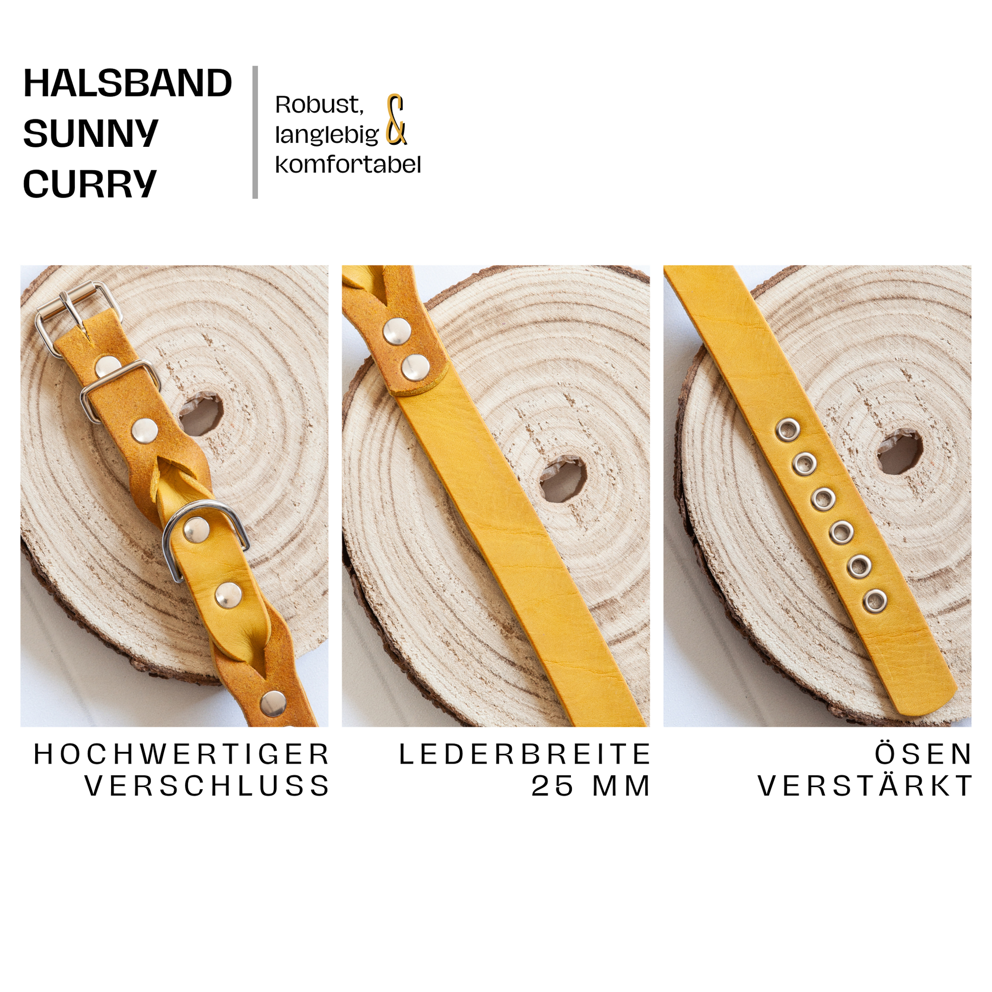 Leder-Hundehalsband SUNNY in Currygelb – mit verstärkten Ösen, 25 mm Breite und silberner Metallschnalle