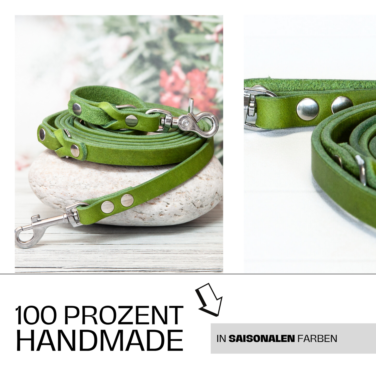Hundeleine Sunny in Kiwigrün – 100 % handgemacht und in saisonalen Farben erhältlich