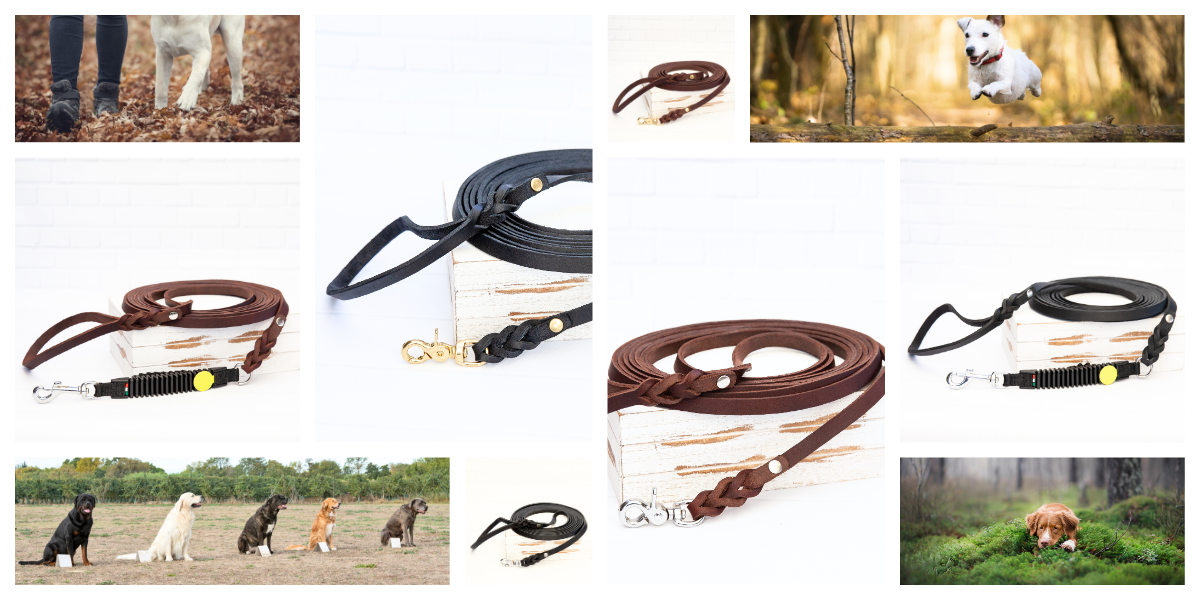 Robuste Schleppleinen aus Leder mit Handschlaufe und Ruckdämpfer – ideal für Hundetraining, Jagd und Spaziergänge mit aktiven Hunden