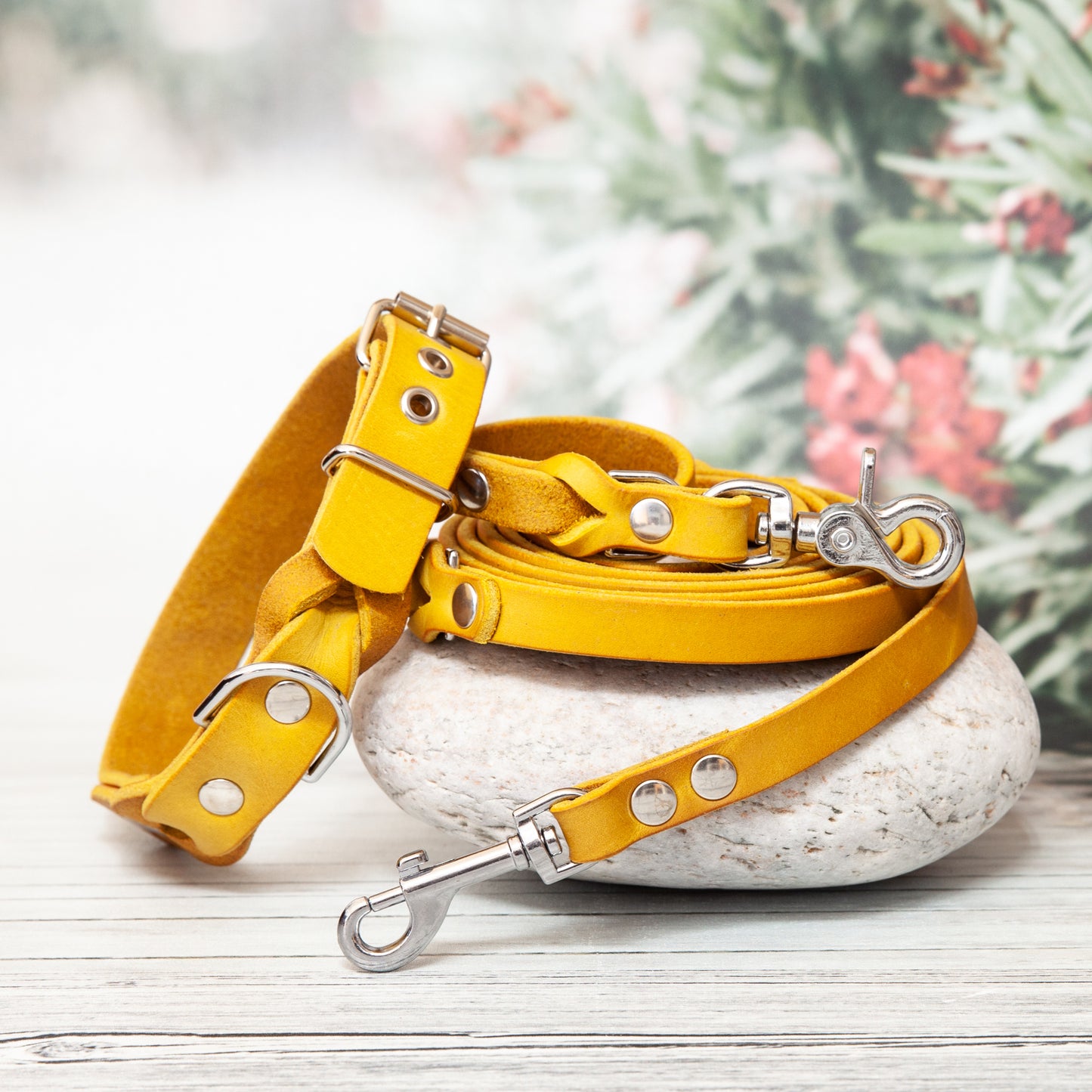 Set SUNNY in Currygelb mit silbernen Details: Die leuchtende Farbe bringt Sonne in jeden Spaziergang – kombiniert mit edlem, silberfarbenem Karabiner und Schnalle ist dieses Leder-Set ein echtes Highlight für jeden Hund.