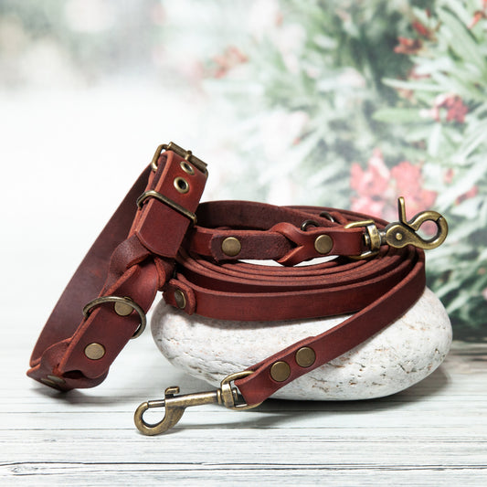 Set SUNNY in Rostrot mit Antikmessing: Dieses liebevoll gefertigte Set aus Hundehalsband und Leine überzeugt durch sein warmes Rostrot und die stilvollen antikmessingfarbenen Beschläge – perfekt für stilbewusste Hundehalter*innen, die auf Qualität und Ästhetik setzen.