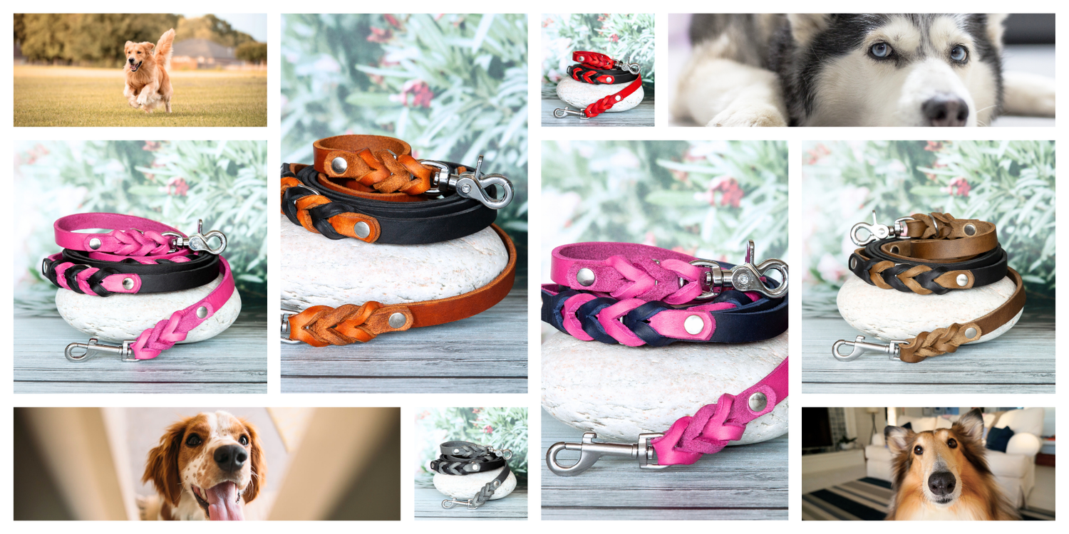 Collage mit handgefertigten zweifarbigen Lederleinen für Hunde aus der SUE Kollektion – in Pink, Orange, Braun und weiteren Farbkombinationen, stilvoll präsentiert auf Naturstein mit Hintergrund aus floralen Elementen.