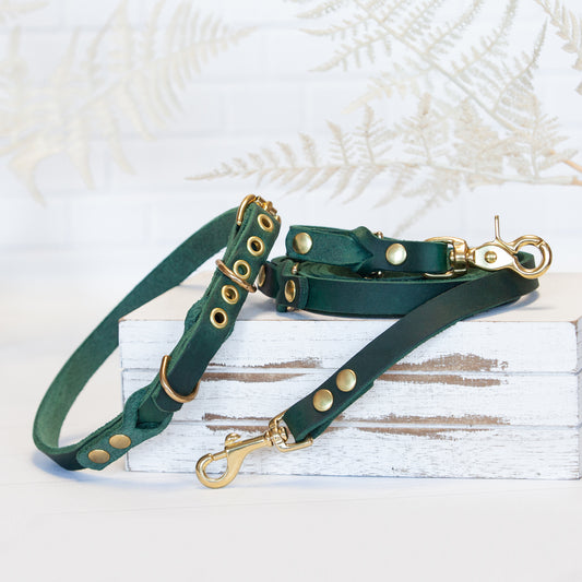 Set JIMINY für kleine Hunde | Lederleine und Halsband | Grün