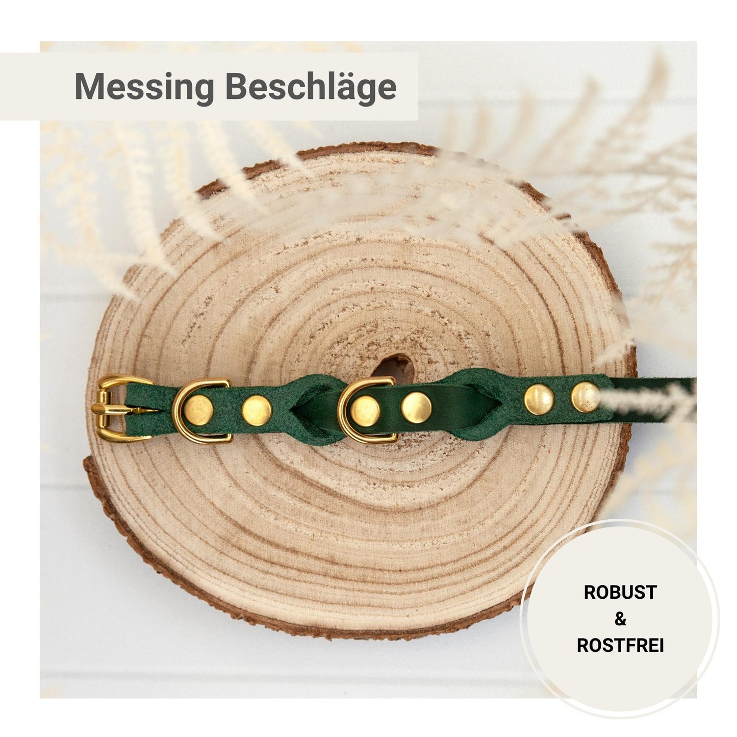 Hundehalsband Wunsch-Name Echtleder Goldprägung | Custom Grün Lederhalsband Hunde Personalisierbares Verschluss