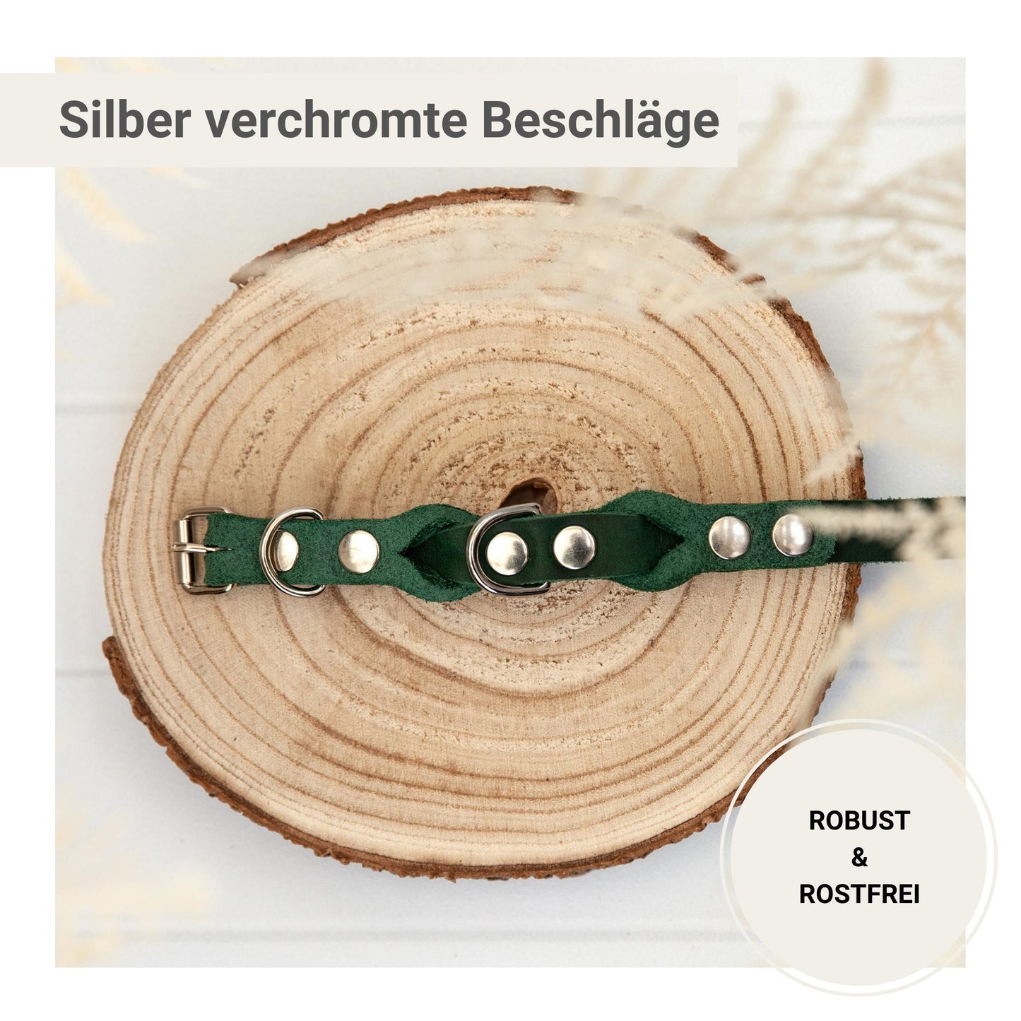 Halsband JIMINY | Goldene oder Silberne Namensprägung | 4 Größen | Grün