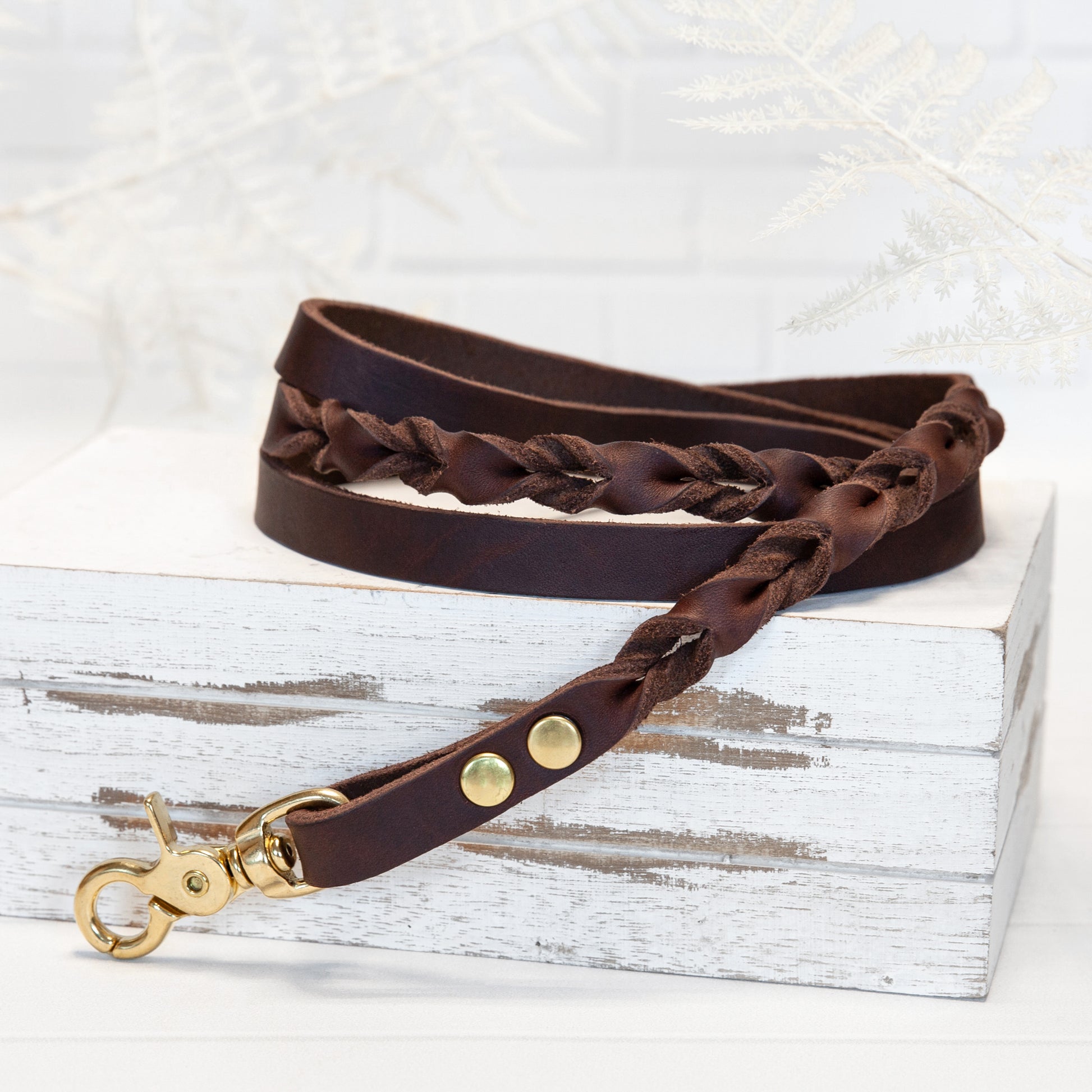 Braune Echtleder Leine "IHSY" Hunde Geflochten | 120 cm | Geschenkidee Hundebesitzer | Messing
