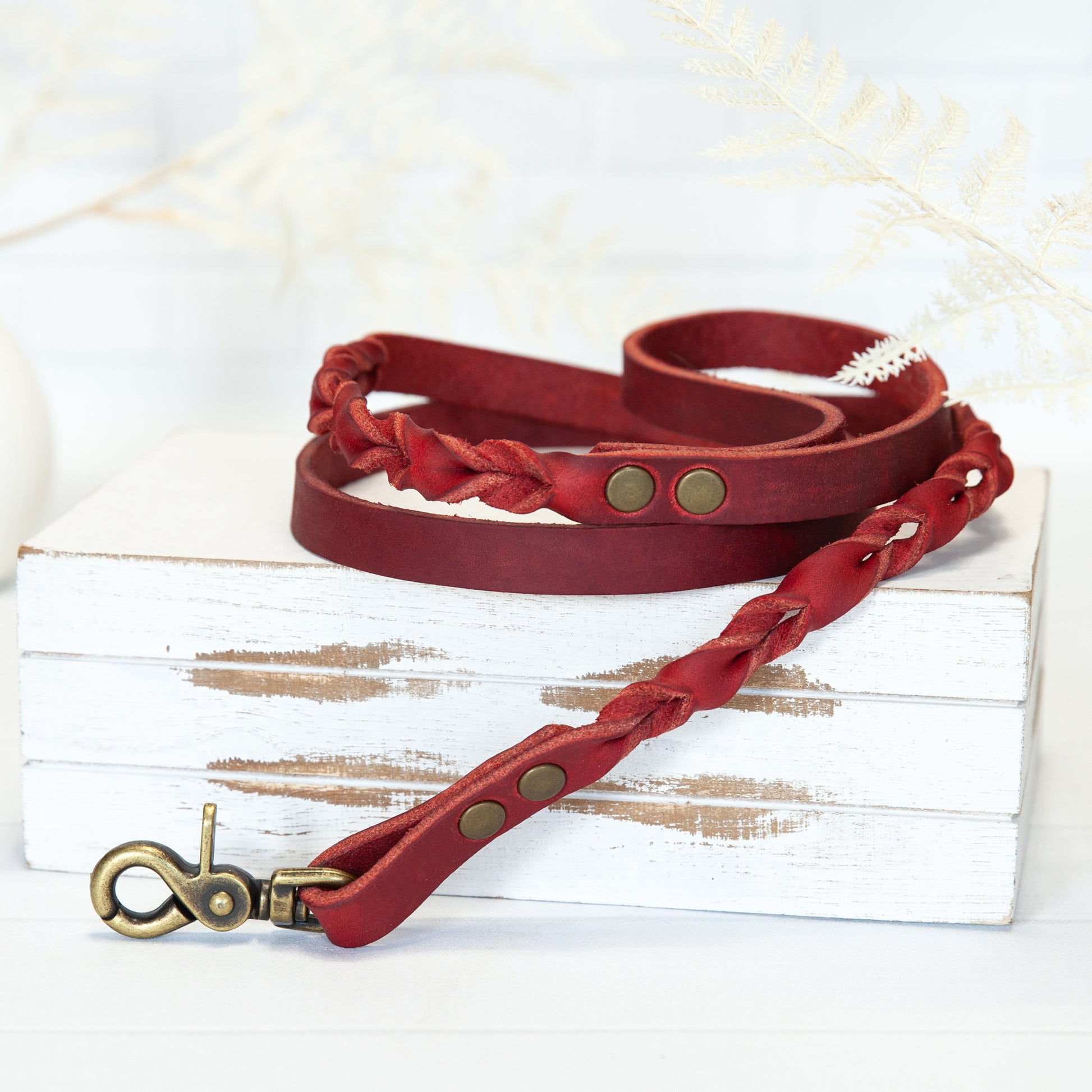 Rote Echtleder Leine "IHSY" Hunde Geflochten | 120 cm | Geschenkidee Hundebesitzer | Antikmessing