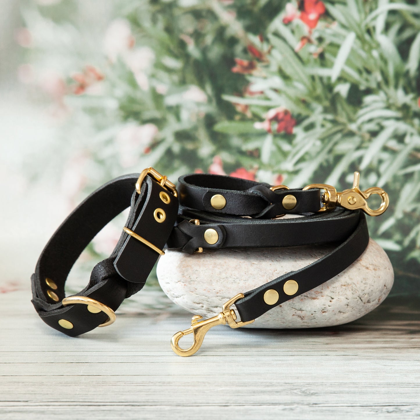 Set KIWI | Lederleine und Halsband | Schwarz