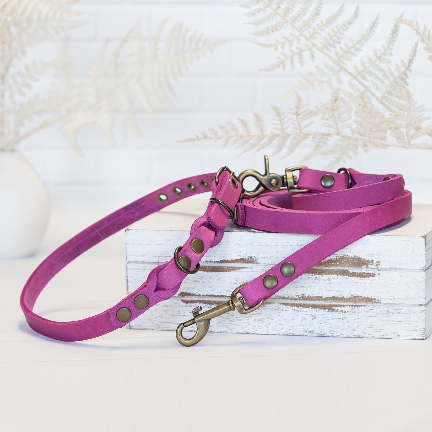 Set JIMINY für kleine Hunde | Lederleine und Halsband | Pink