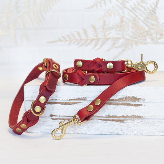 Set JIMINY für kleine Hunde | Lederleine und Halsband | Rot