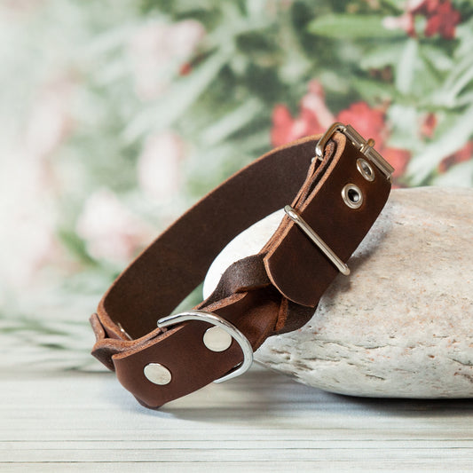 Hundehalsband KIWI in Braun – handgemachtes Accessoire aus robustem Leder in natürlichem Farbton
