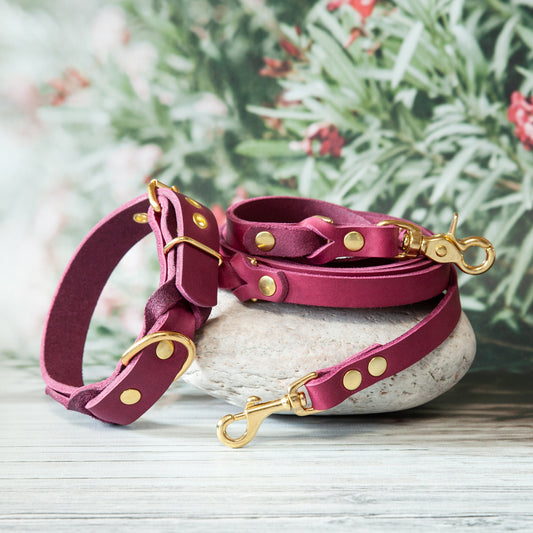 Hundeleine und Halsband im Set KIWI Beere – handgefertigt aus echtem Leder, farblich harmonisch kombiniert
